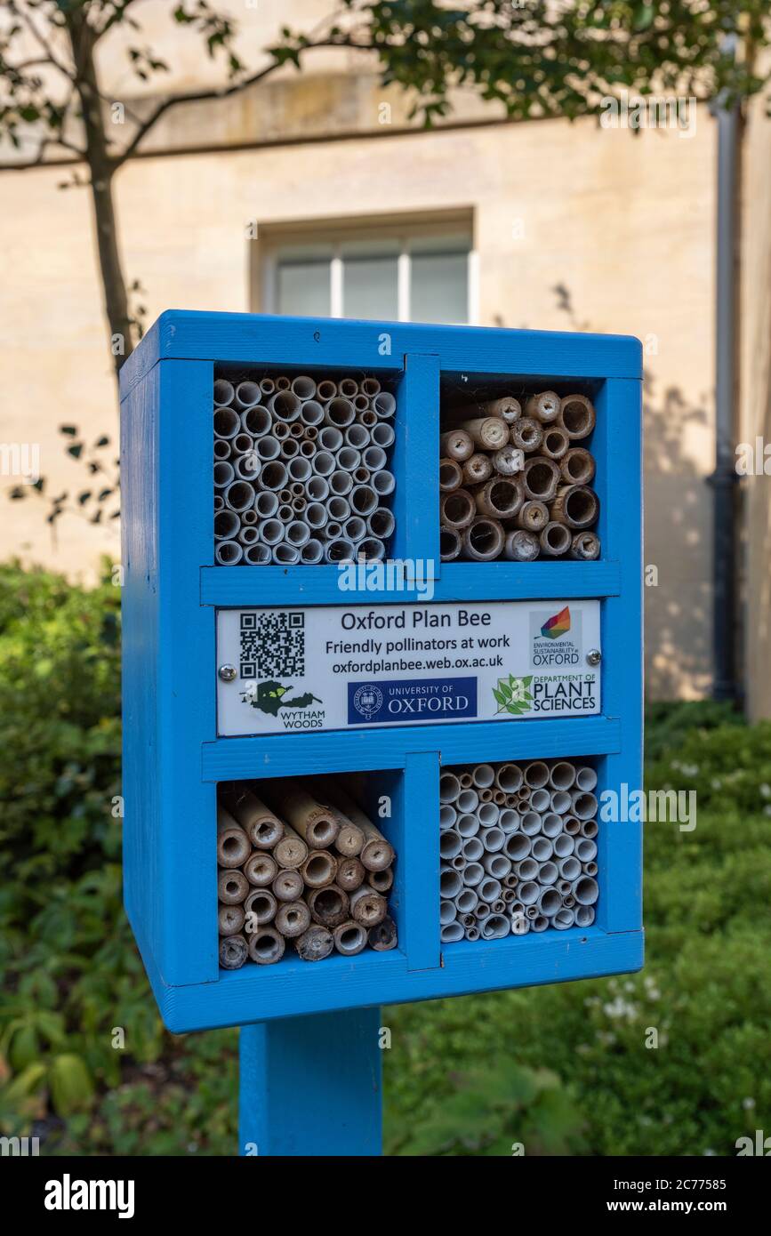 Plan Bee project, Oxford, UK Stock Photo