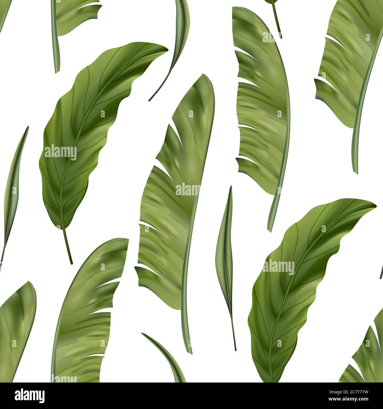Realistic colorful tropical palm leaves vector seamless pattern. Jungle botanical summer background. Exotic green nature wallpaper. Stock Vector