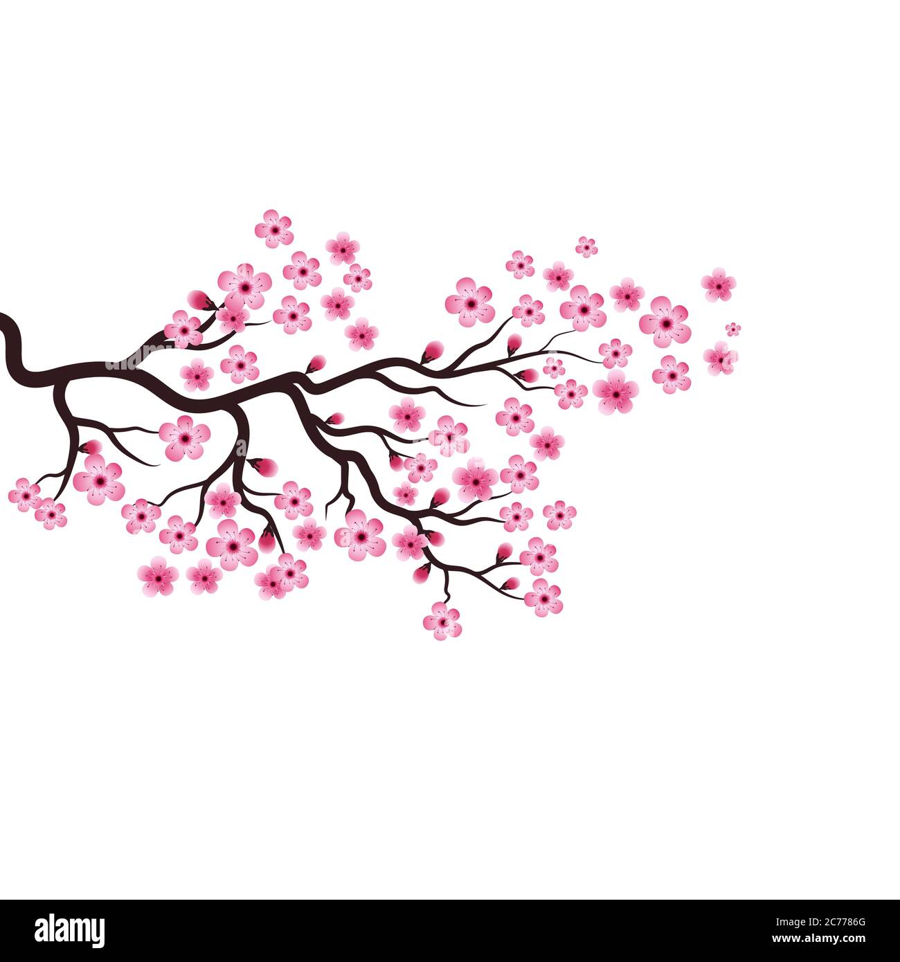 Sakura Beauty flower Vector icon illustration design Stock Vector Image ...