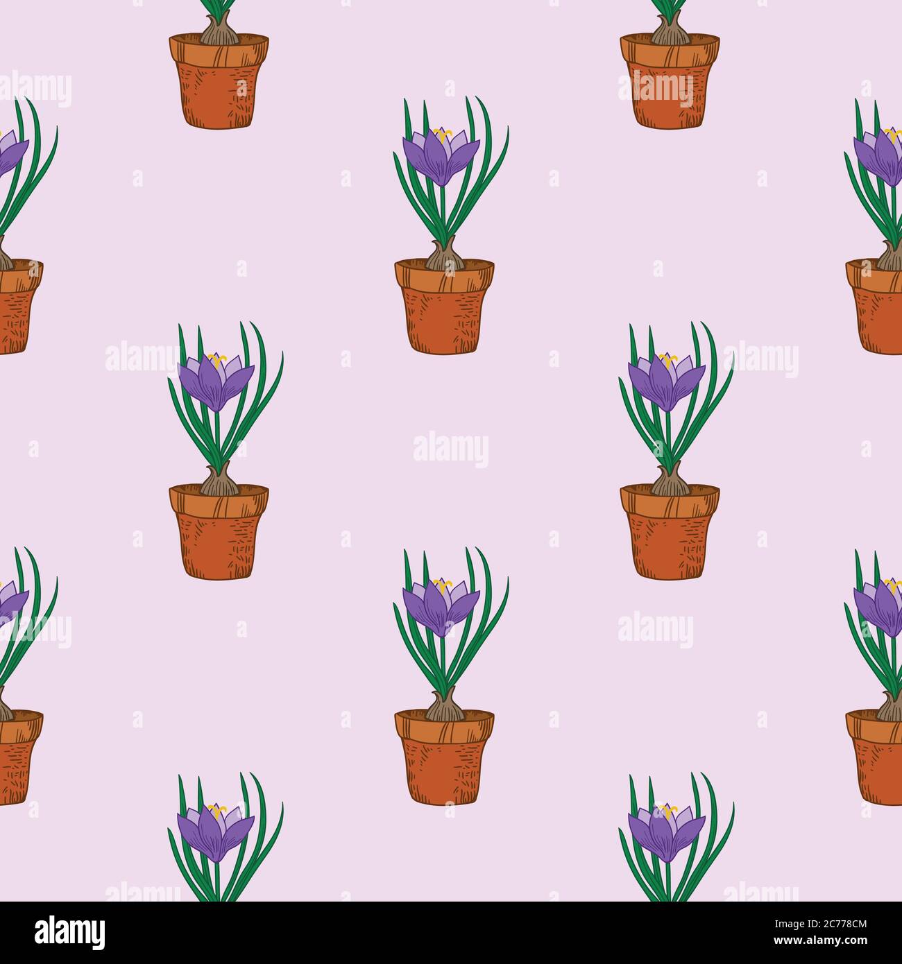 Seamless pattern with crocus in the pot. Vintage vector art Stock ...