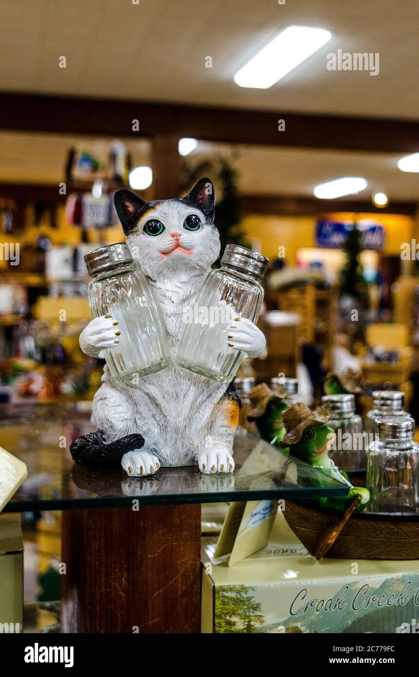 Scenes at The Trees of Mystery Amusement Park in Klamath California USA