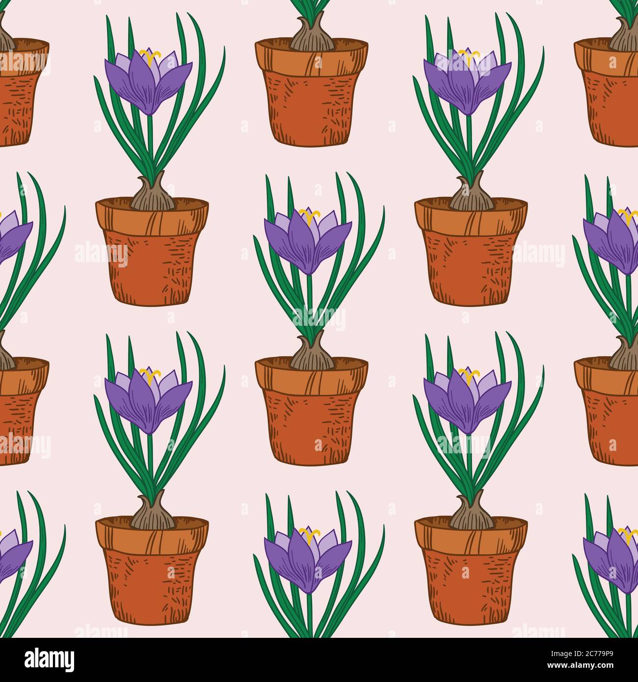 Seamless pattern with crocus in the pot. Vintage vector art Stock ...