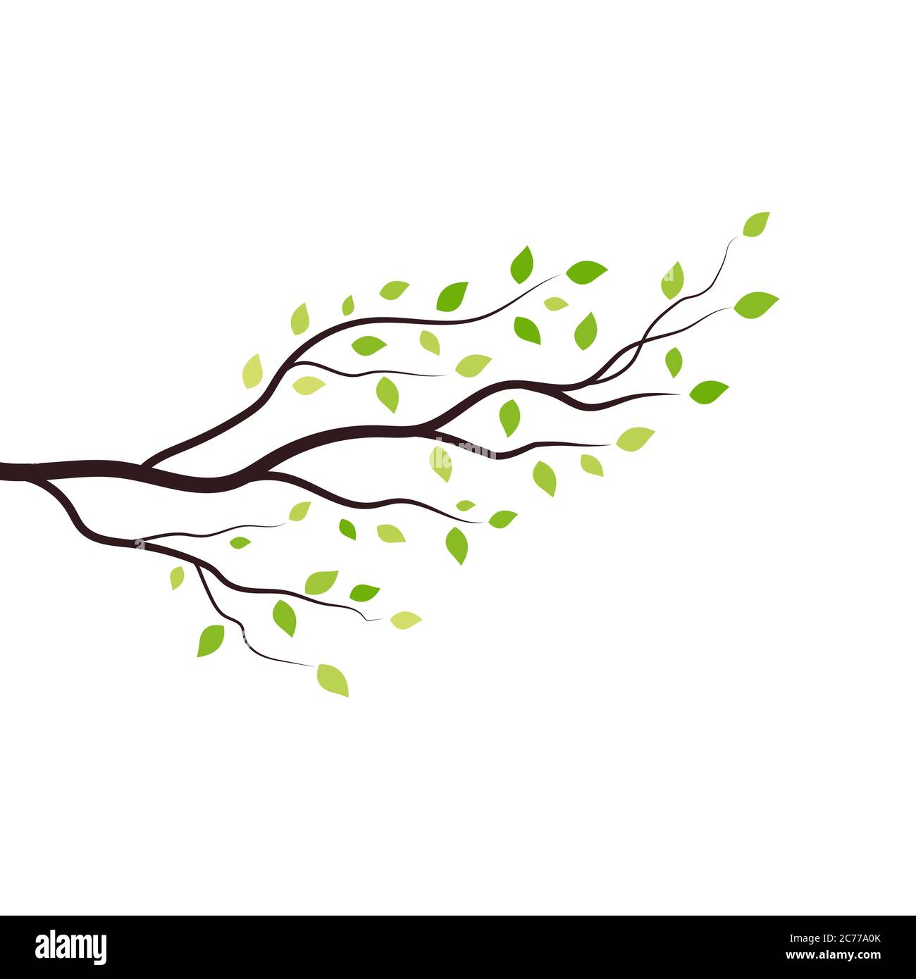 tree branch vector illustration design template Stock Vector Image