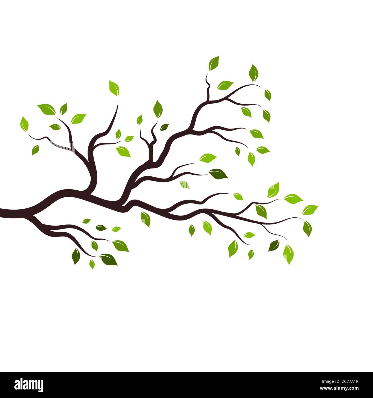 tree branch vector illustration design template Stock Vector Image