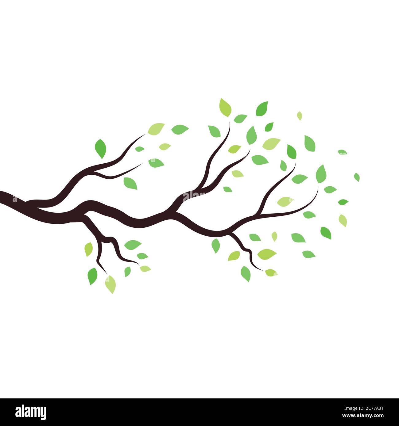 tree branch vector illustration design template Stock Vector Image ...