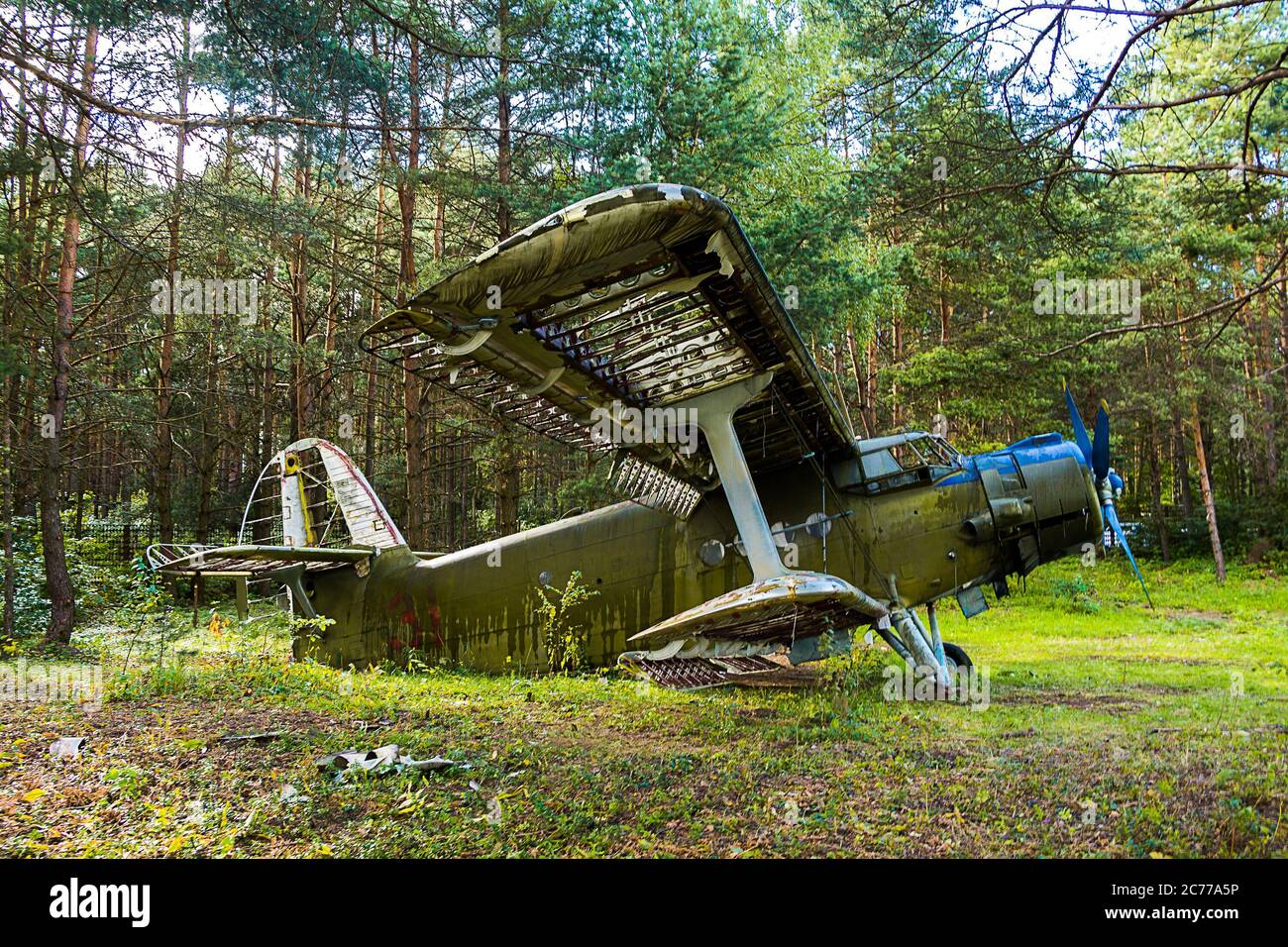 Old abandoned aircraft in the forest Stock Photo