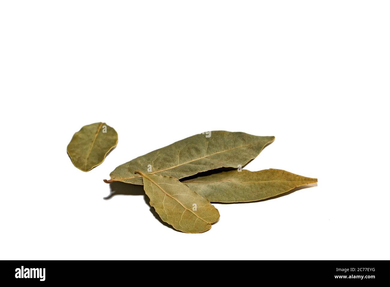 Dried bay leaf isolated on a white background. Dried laurel leaves