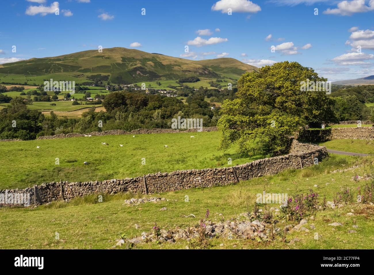 The Howgill Fells are hills in Northern England between the Lake District and the Yorkshire Dales, lying roughly in between the vertices of a triangle Stock Photo