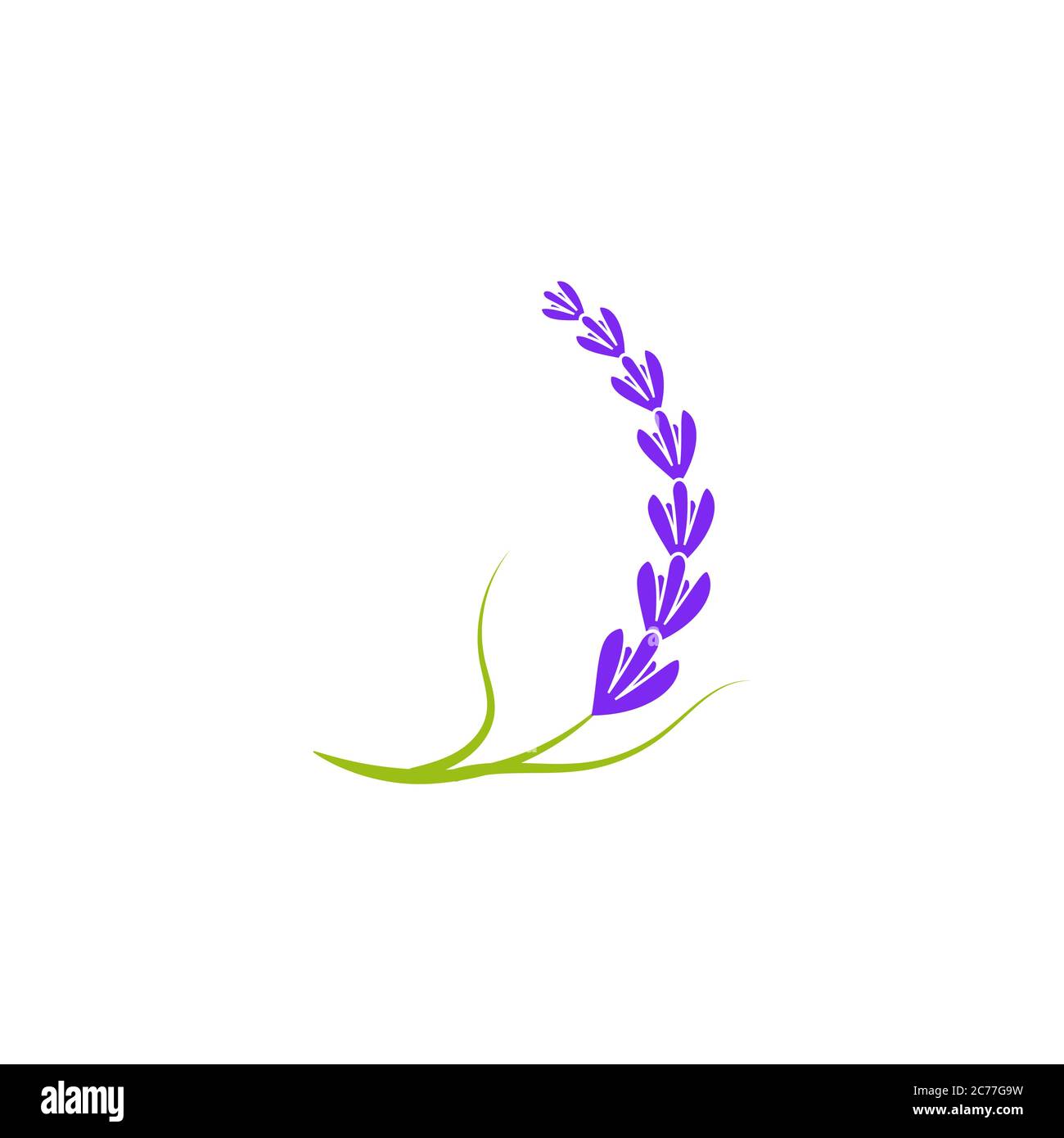Lavender vector Stock Vector Images Alamy