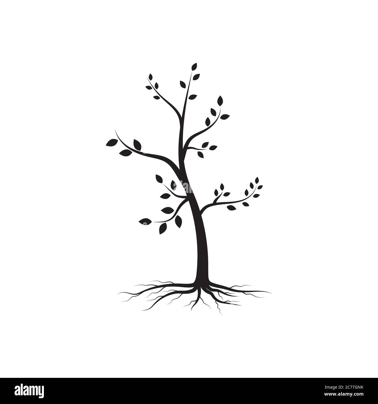 tree branch vector illustration design template Stock Vector Image