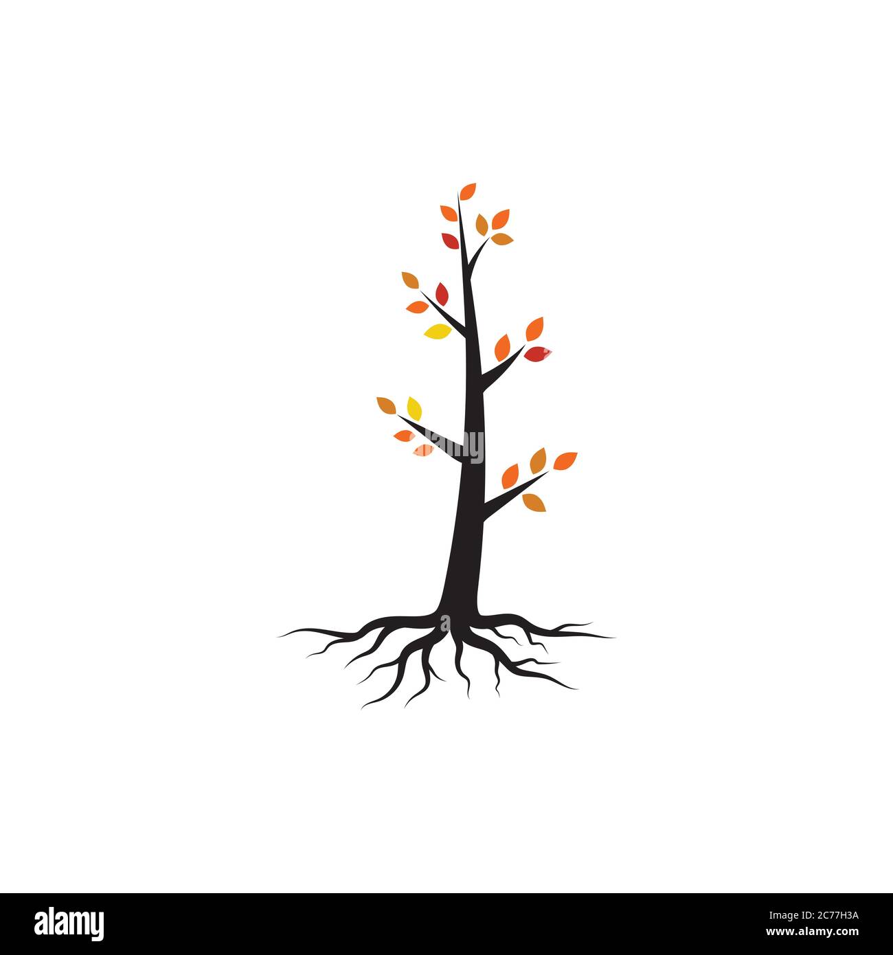 tree branch vector illustration design template Stock Vector Image ...