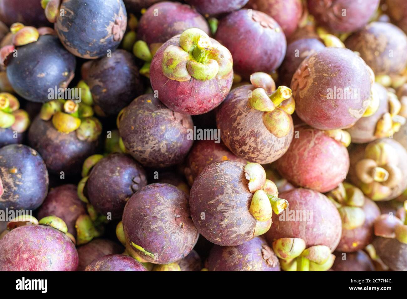 Close up queen of fruits group mangosteen background, Mangosteen in a