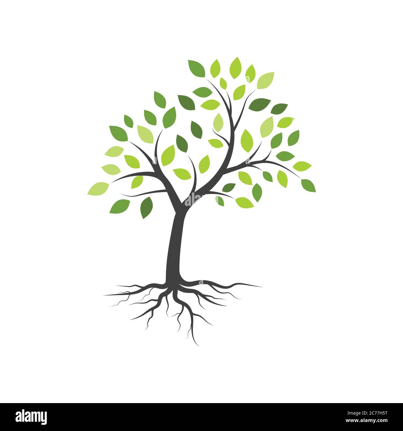 tree branch vector illustration design template Stock Vector Image ...