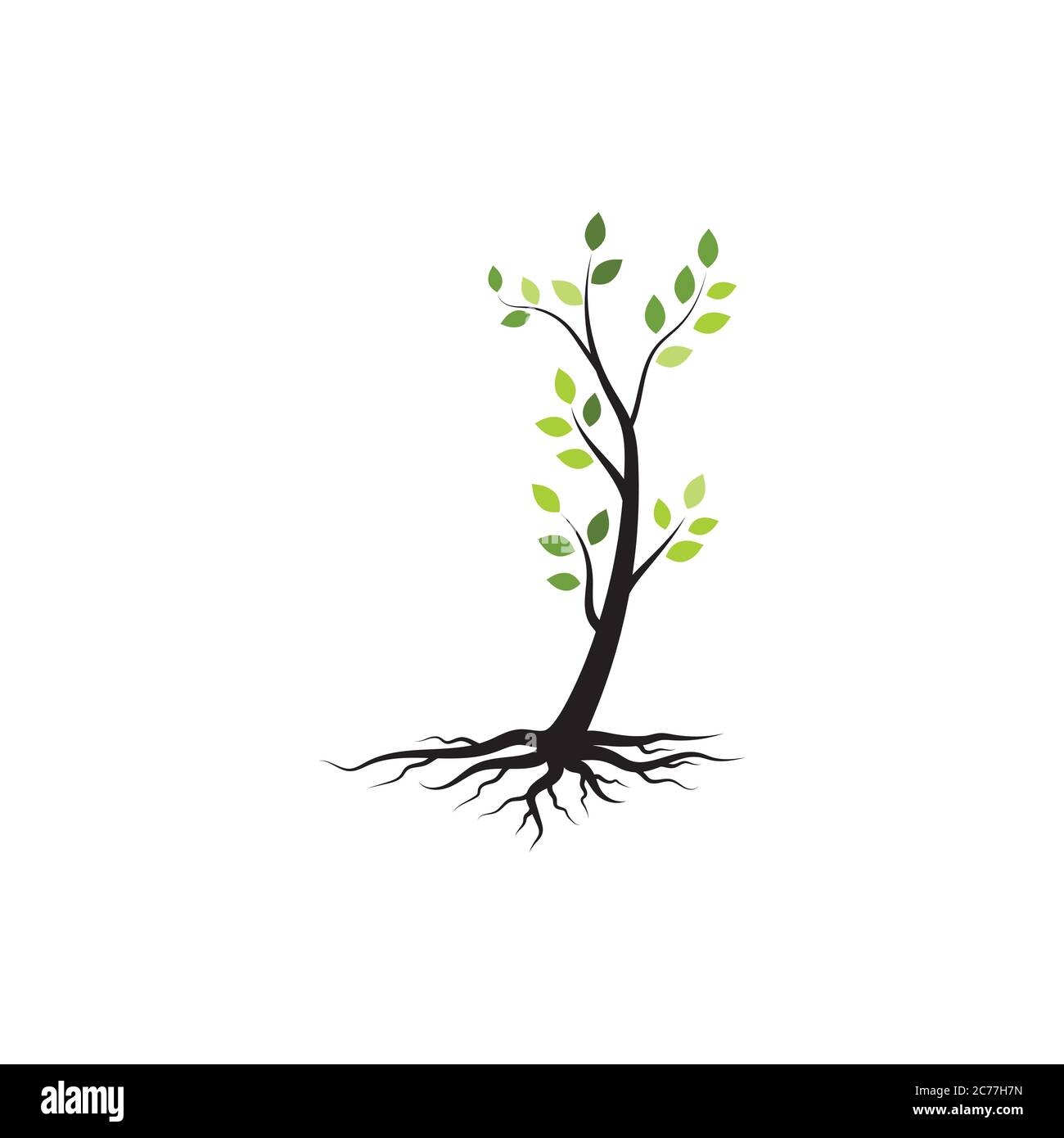tree branch vector illustration design template Stock Vector Image ...