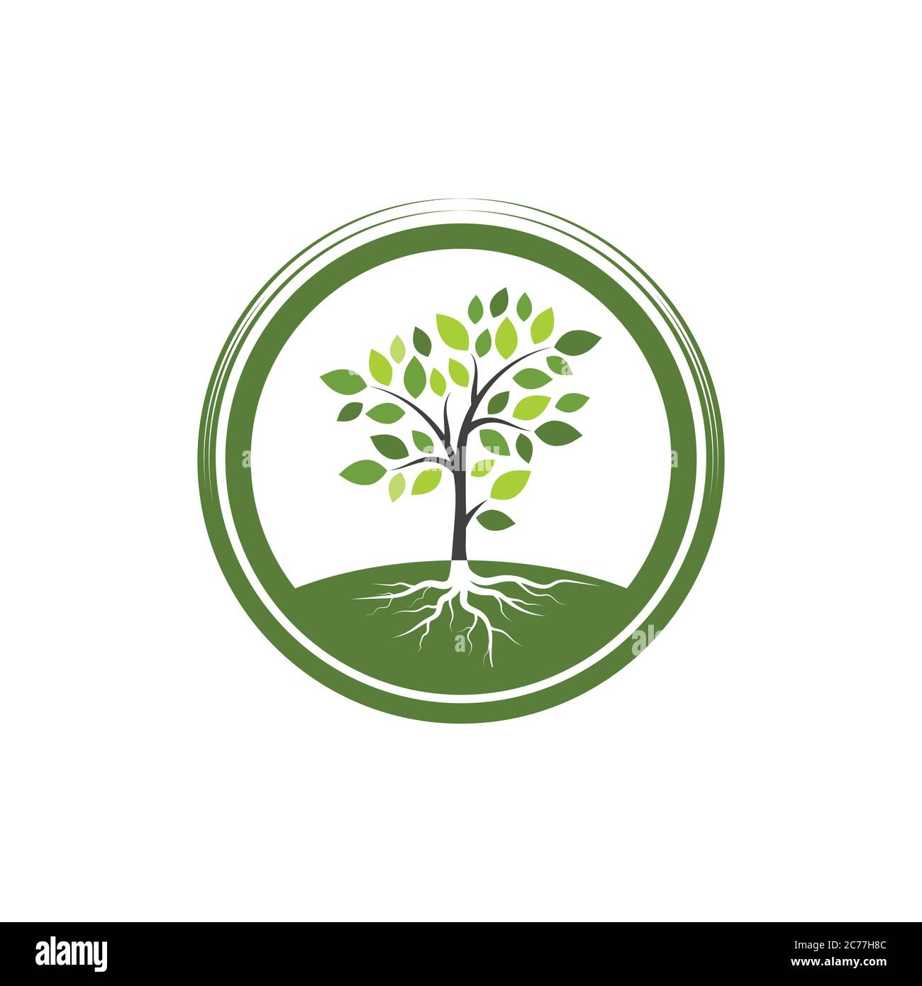 tree branch vector illustration design template Stock Vector Image ...