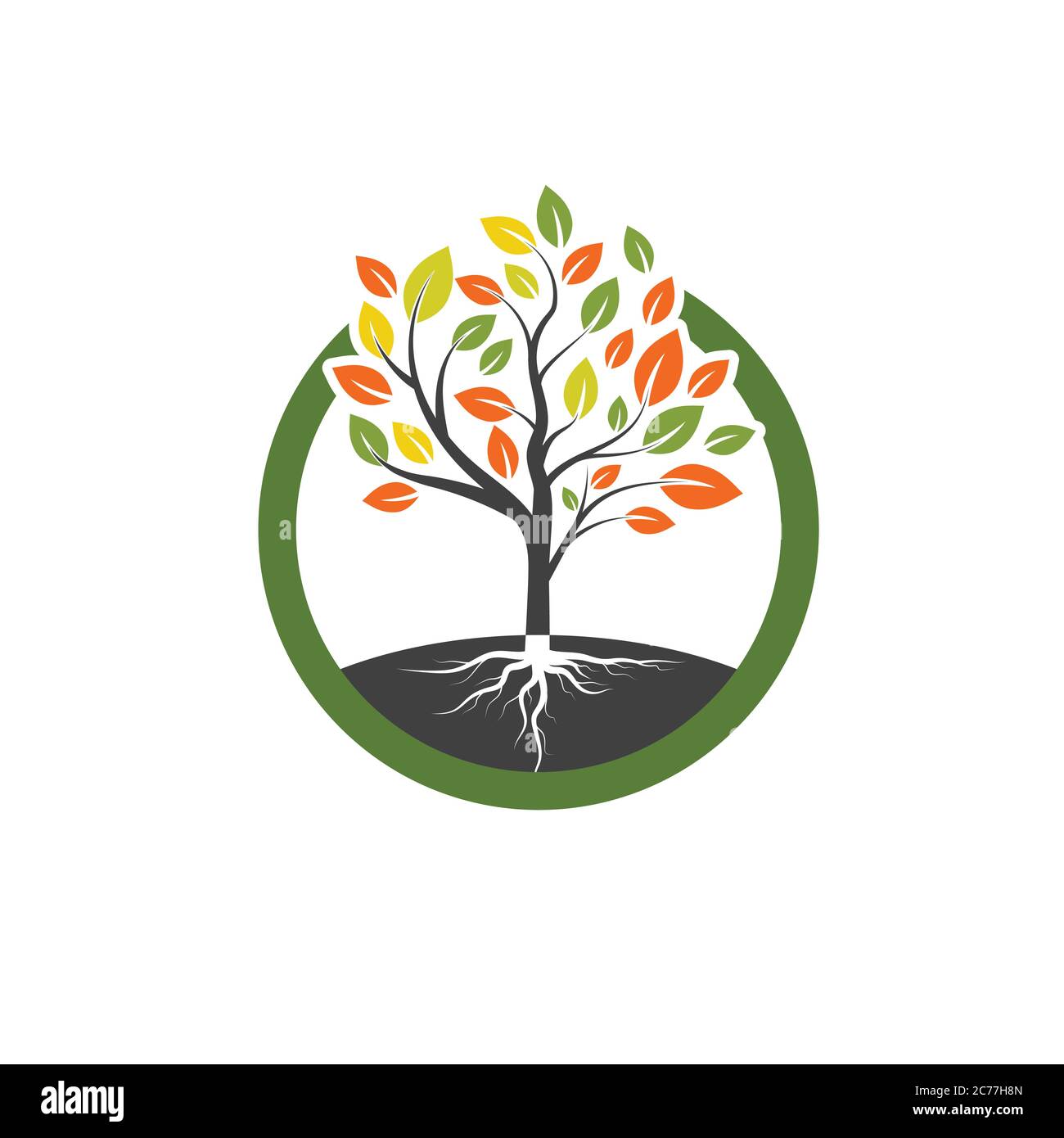 tree branch vector illustration design template Stock Vector Image ...