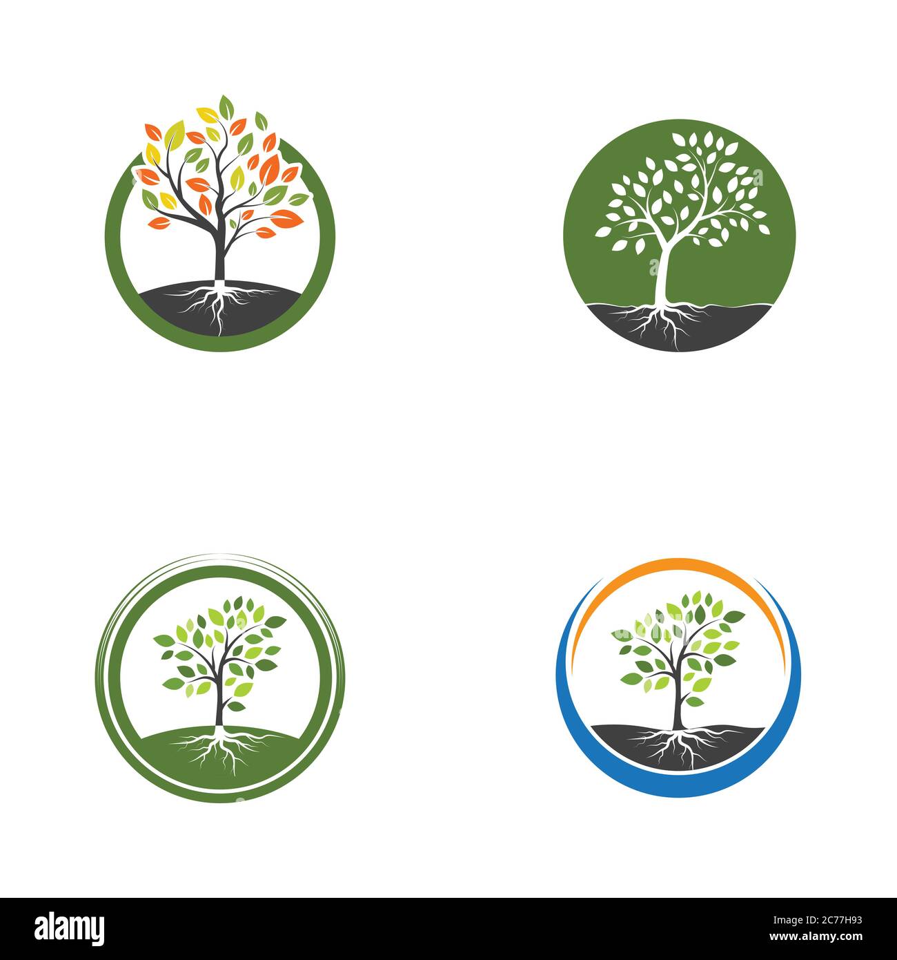 tree branch vector illustration design template Stock Vector Image ...