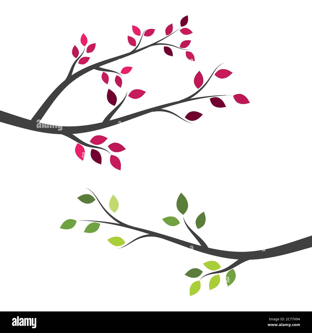 tree branch vector illustration design template Stock Vector Image ...