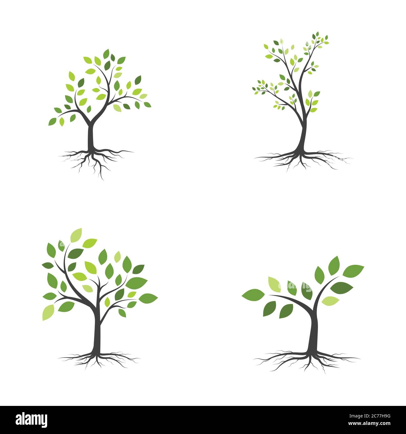 tree branch vector illustration design template Stock Vector Image ...