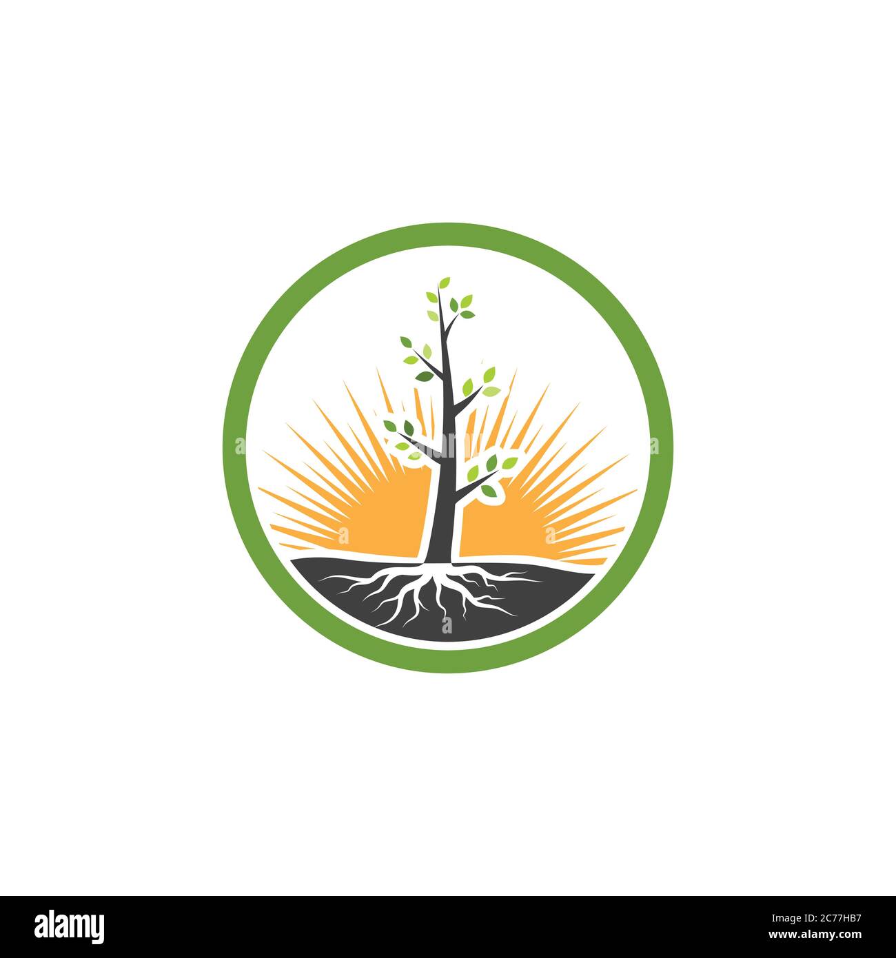 tree branch vector illustration design template Stock Vector Image ...