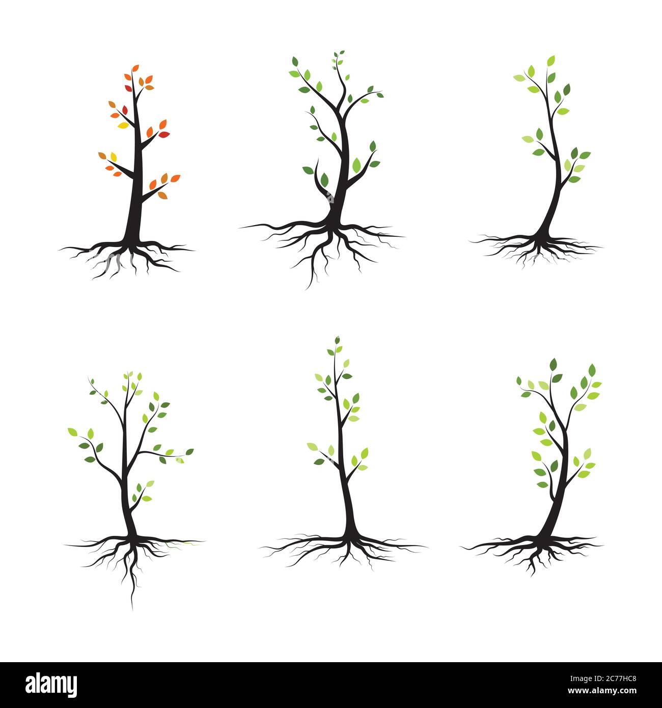tree branch vector illustration design template Stock Vector Image ...