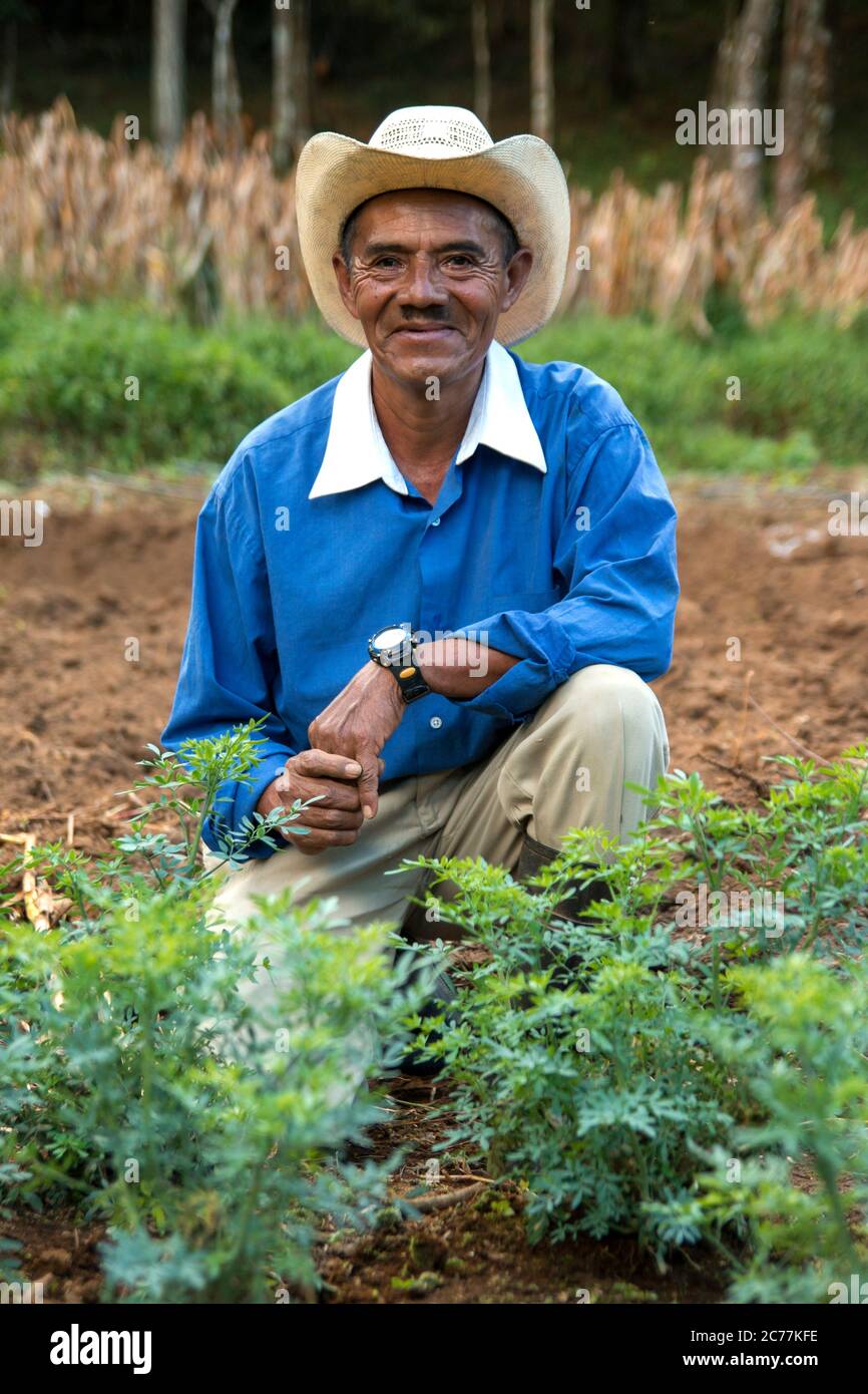Small farmer in his farm of vegetables Stock Photo Alamy