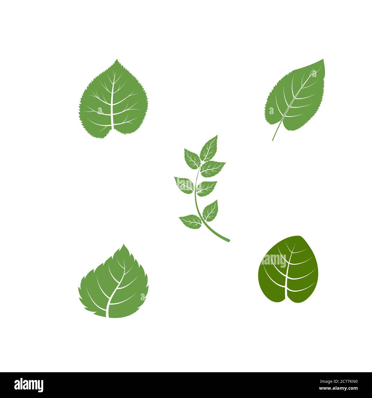 Green Tree leaf ecology nature element vector design Stock Vector Image ...