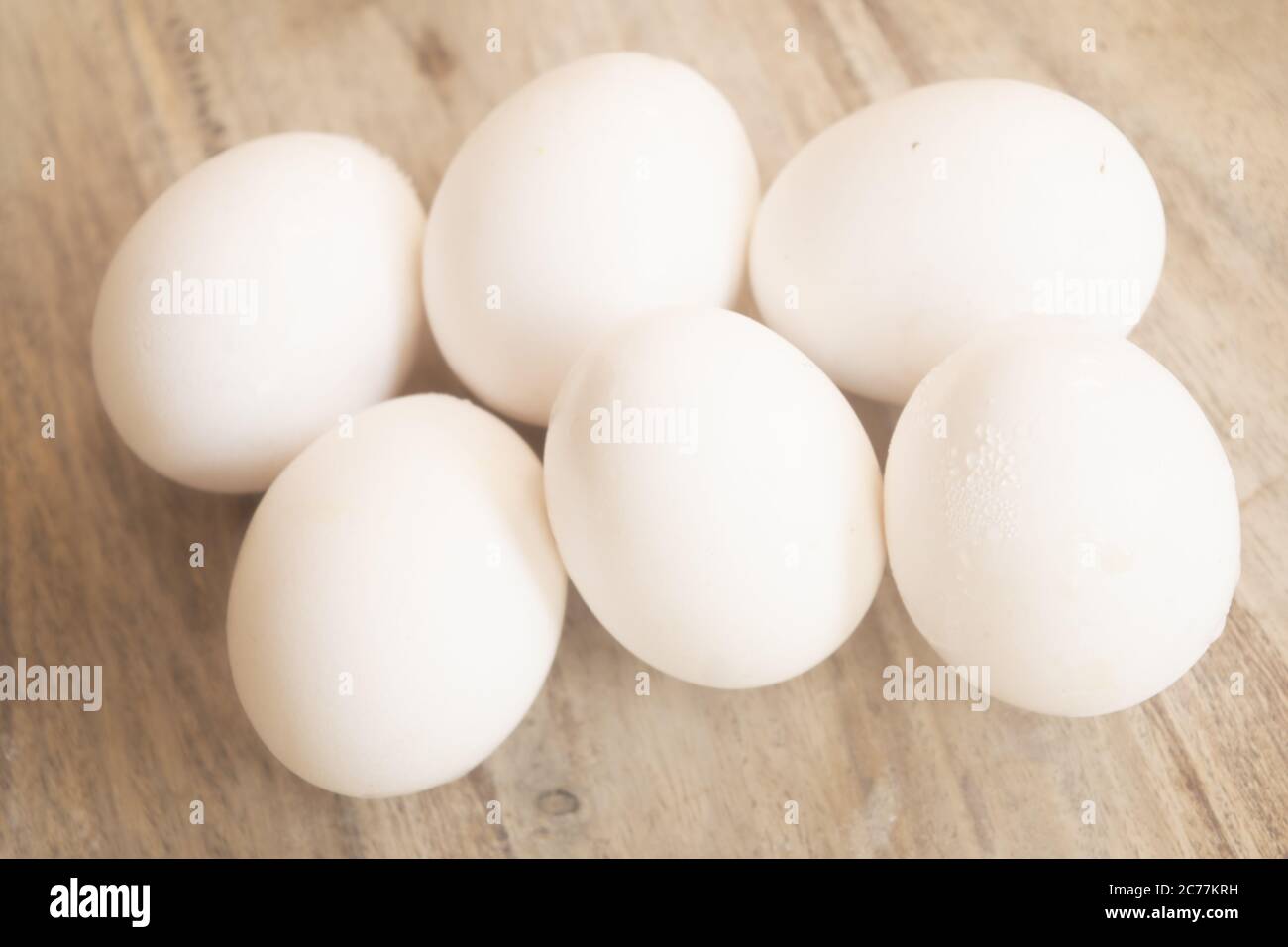 fresh eggs from free-range laying hens being housed Stock Photo