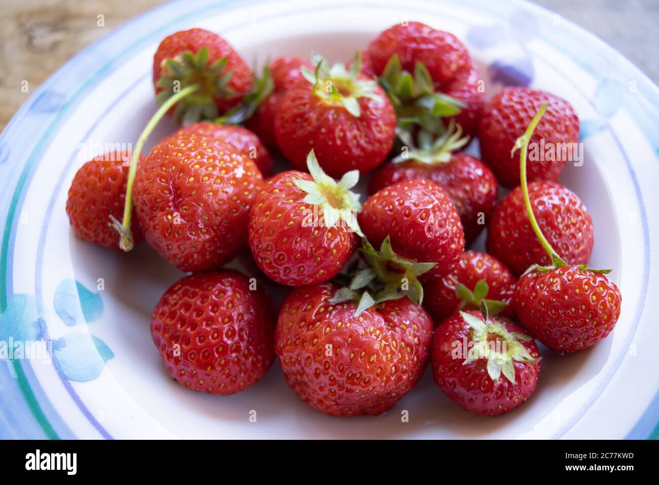 freshly picked organic strawberries in a dish Stock Photo