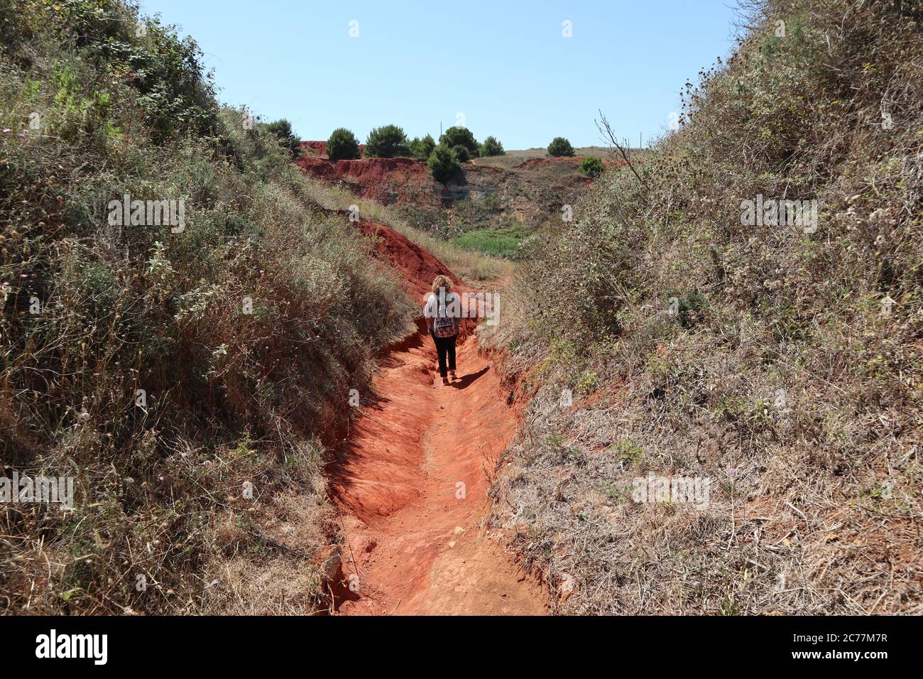 Sentiero sul lago hi-res stock photography and images - Alamy