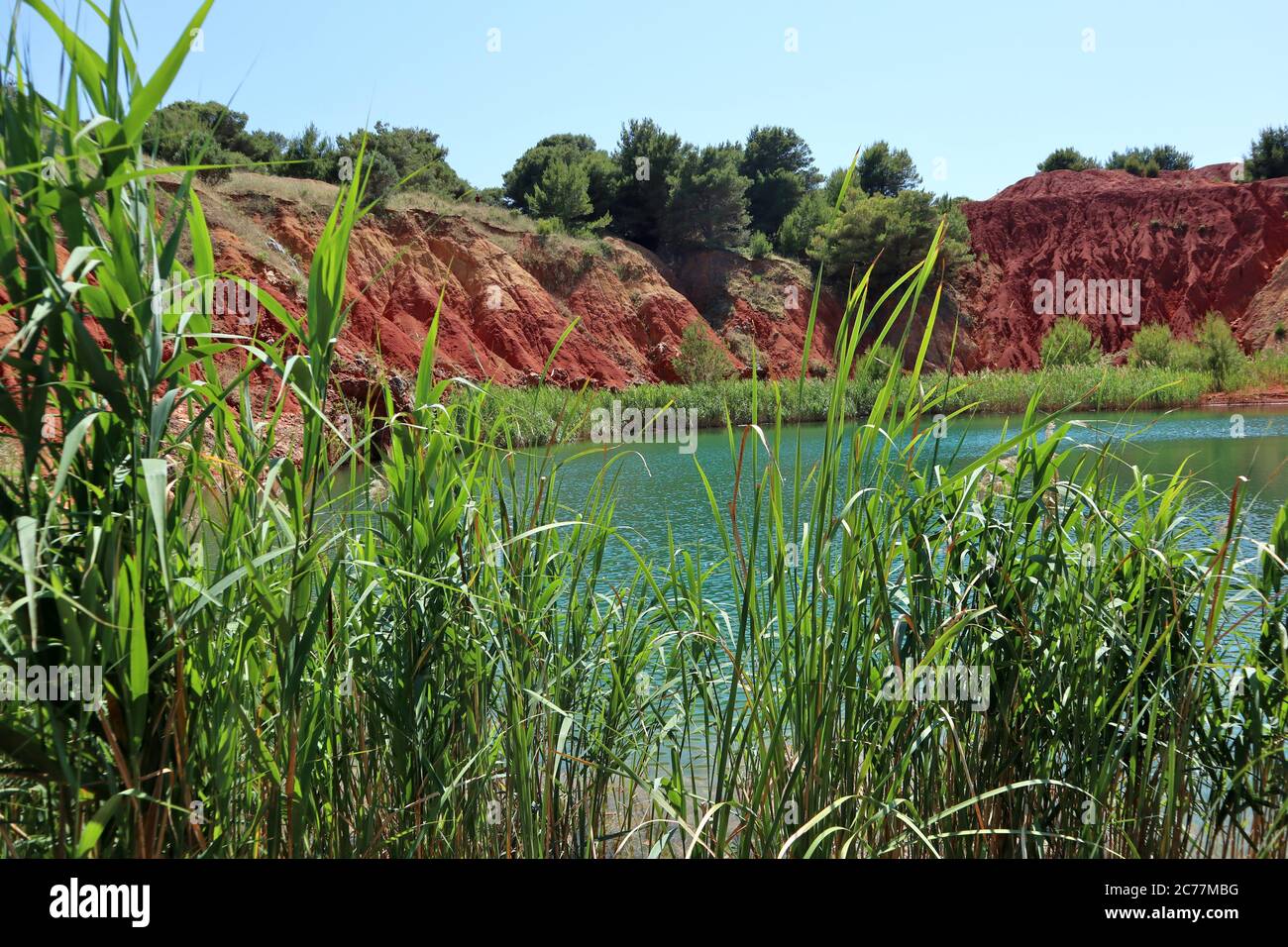 Lago di canne hi-res stock photography and images - Alamy