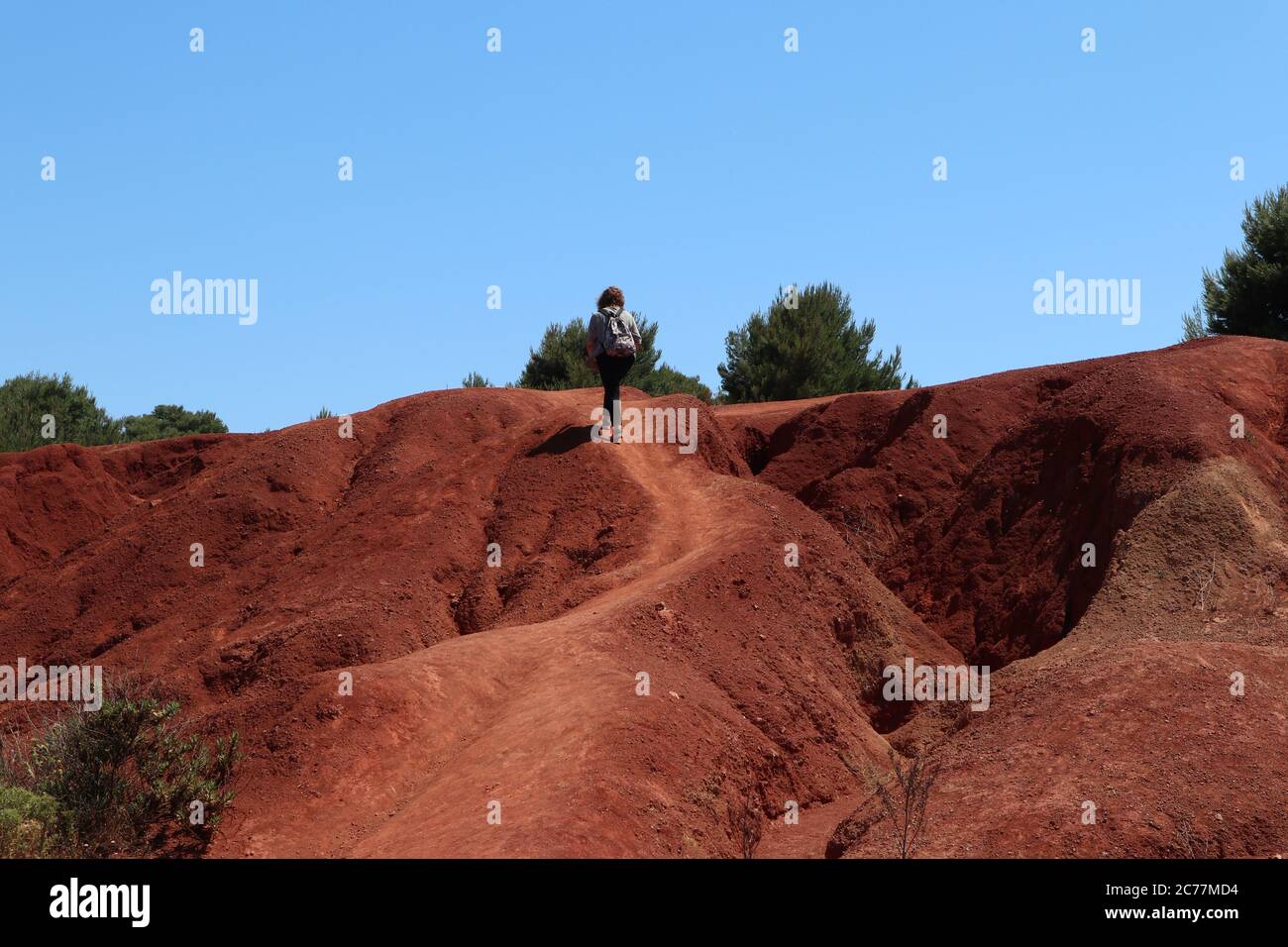 Sentiero di vegetazione hi-res stock photography and images - Alamy