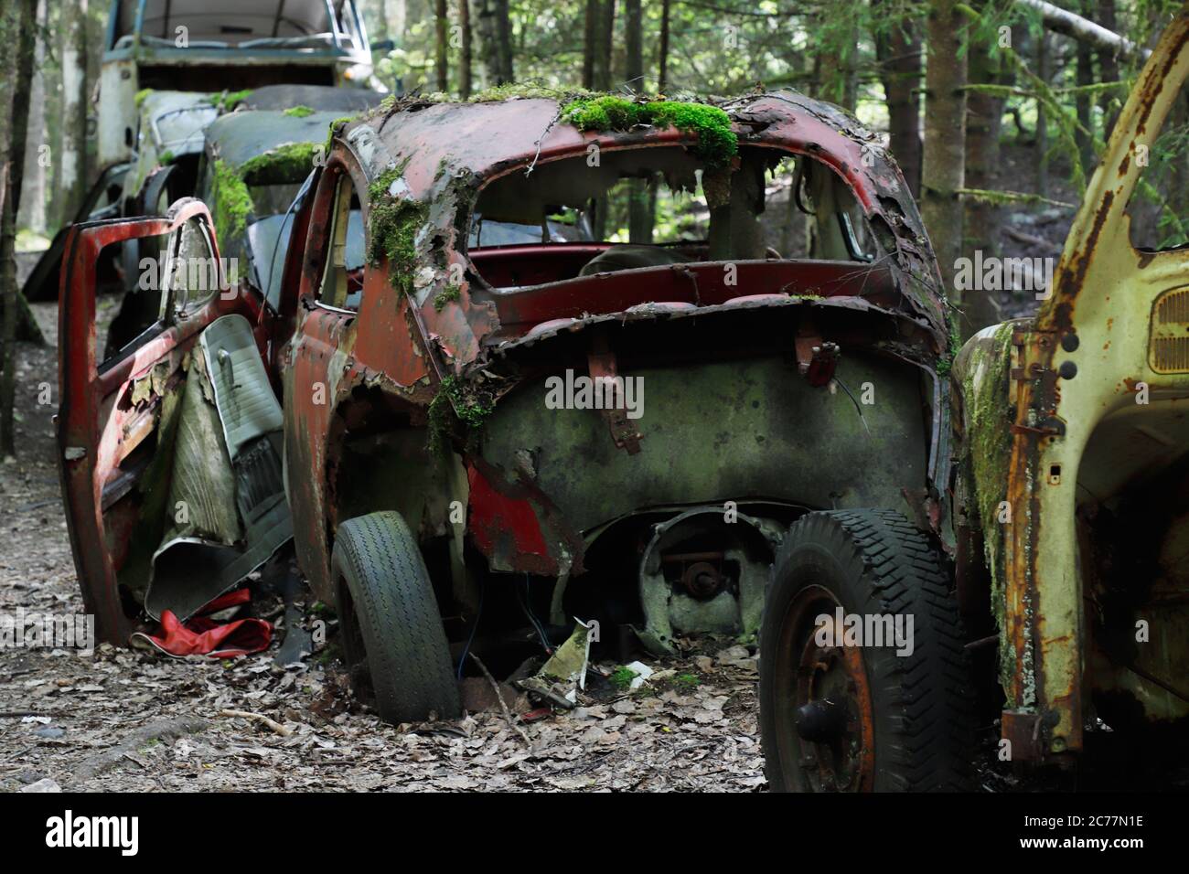 Old cars out of order left in a car cemetery. Stock Photo