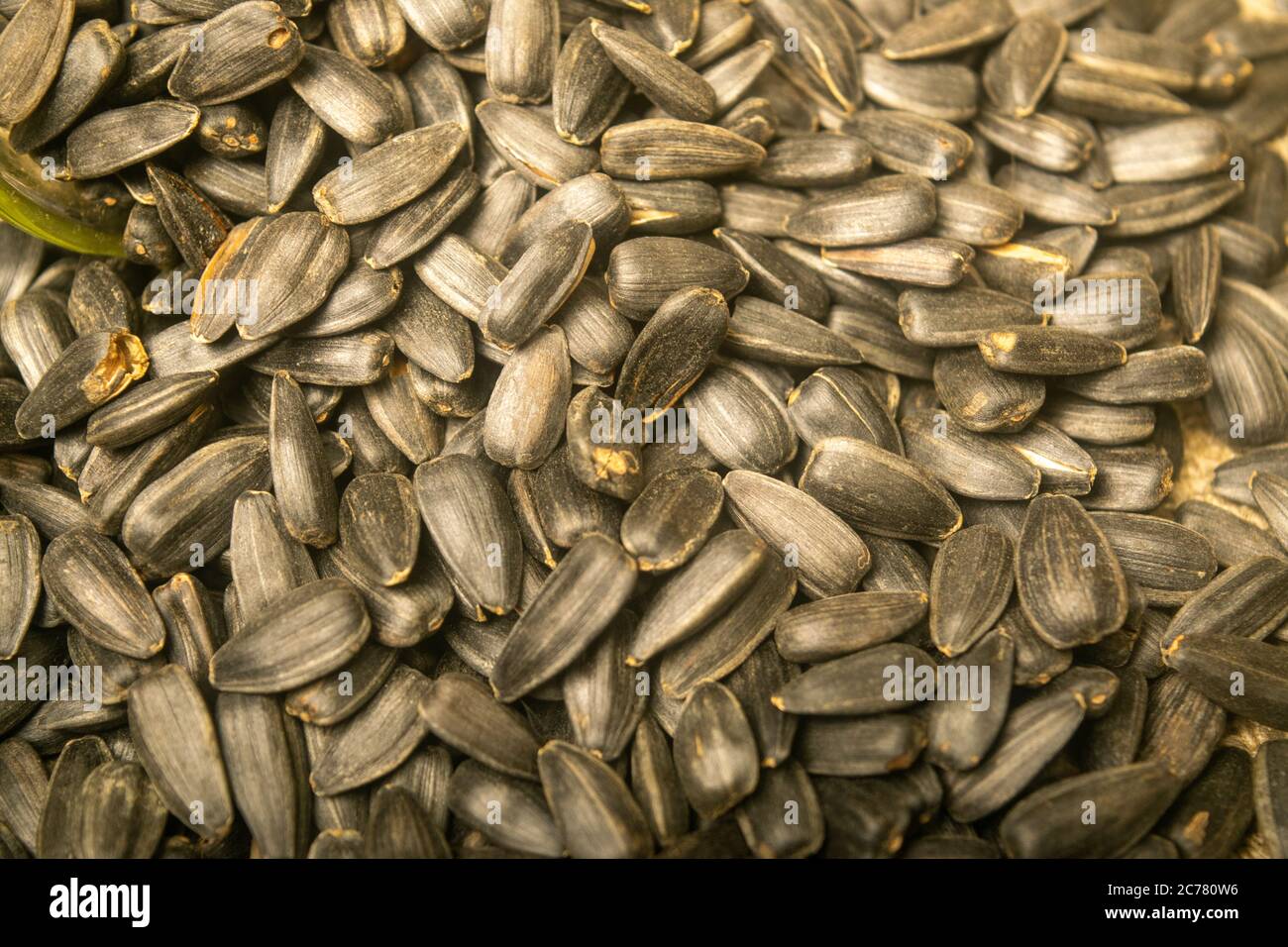 Roasted sunflower seeds with a scattering surface texture. Close up