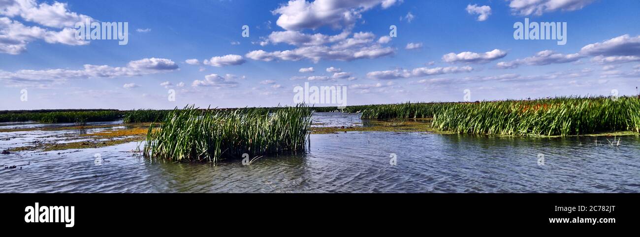 Russia, Astrakhan Oblast,  the Volga Delta,  The Volga Delta has a length of about 160 kilometres (99 miles) and includes as many as 500 channels and smaller rivers. It's the largest river delta in Europe and is located in the Caspian depression. Stock Photo