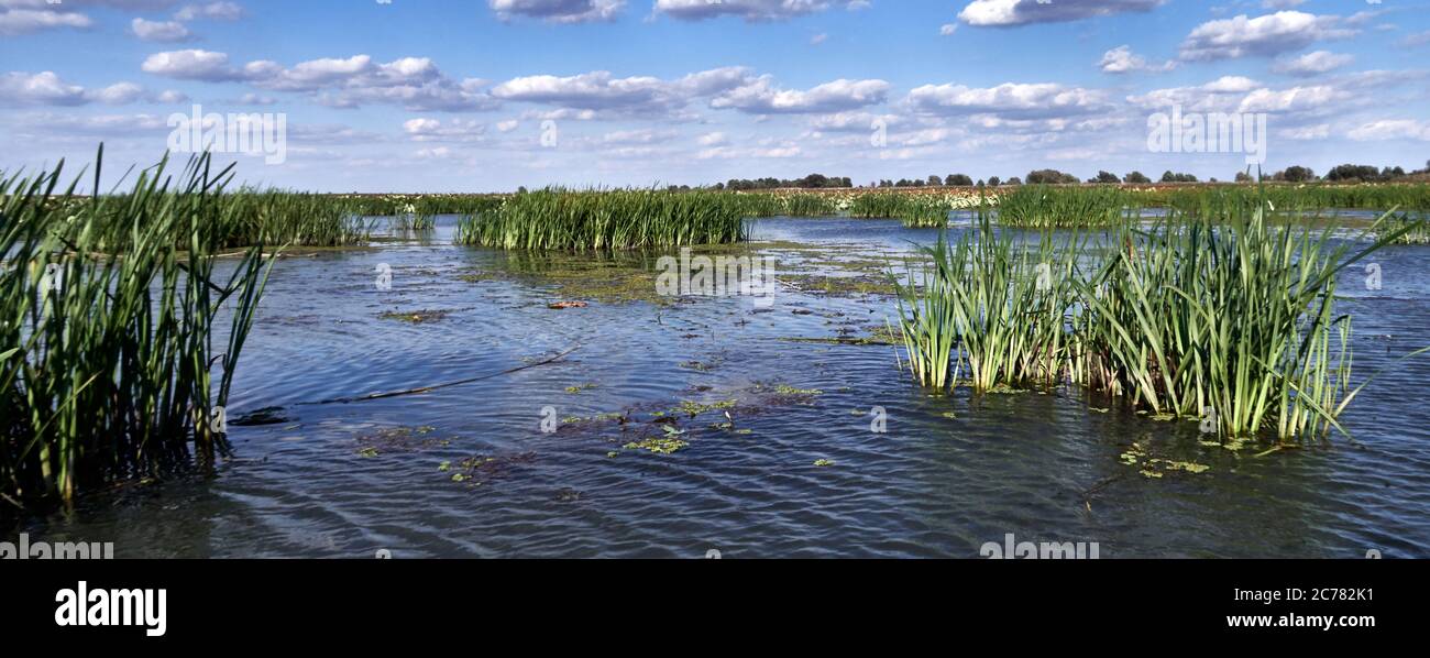 Russia, Astrakhan Oblast,  the Volga Delta,  The Volga Delta has a length of about 160 kilometres (99 miles) and includes as many as 500 channels and smaller rivers. It's the largest river delta in Europe and is located in the Caspian depression. Stock Photo