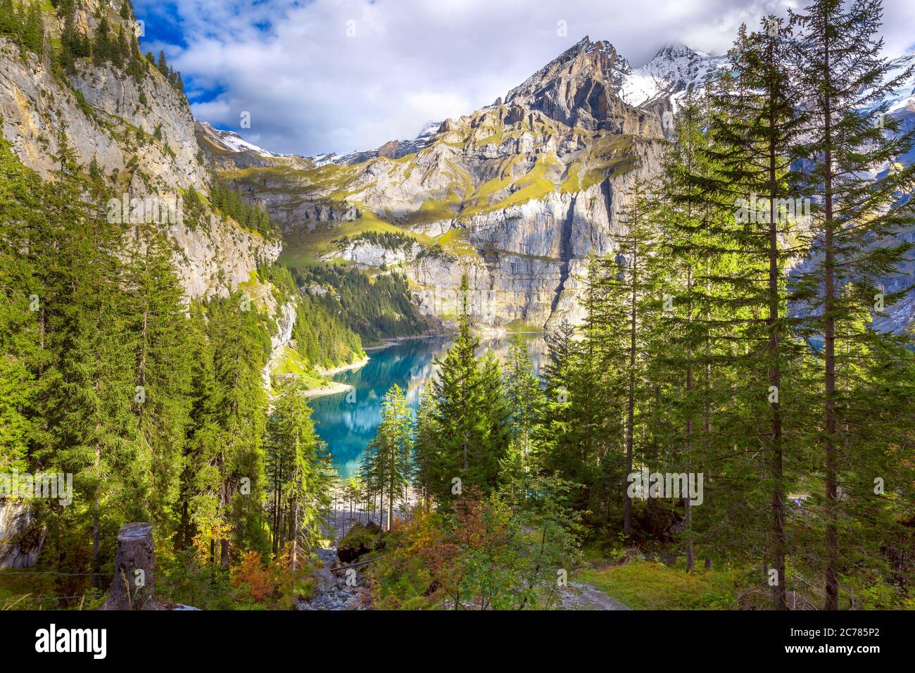 Aerial pine trees alps hi-res stock photography and images - Alamy