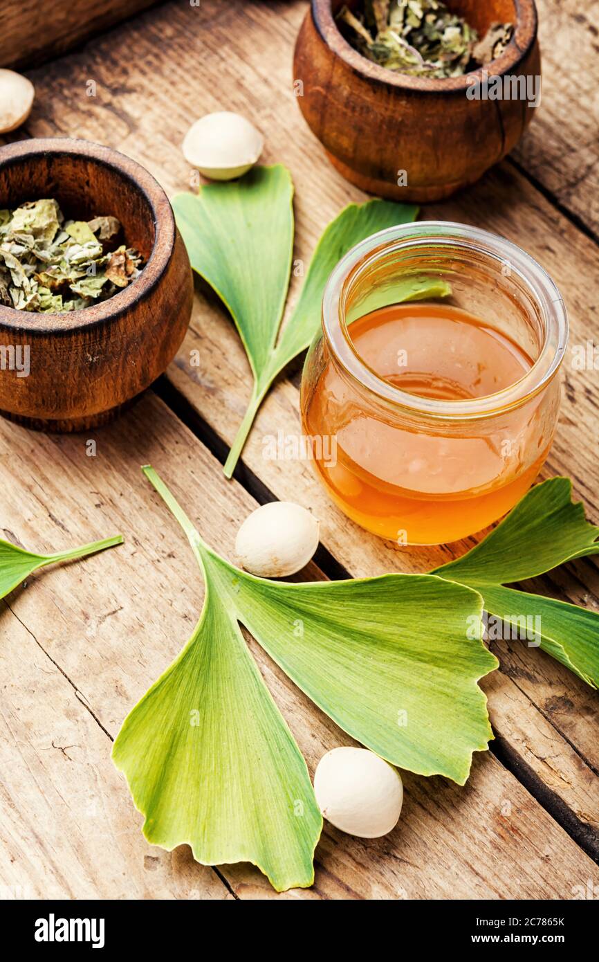 Healing properties of seeds and leaves of ginkgo biloba in herbal