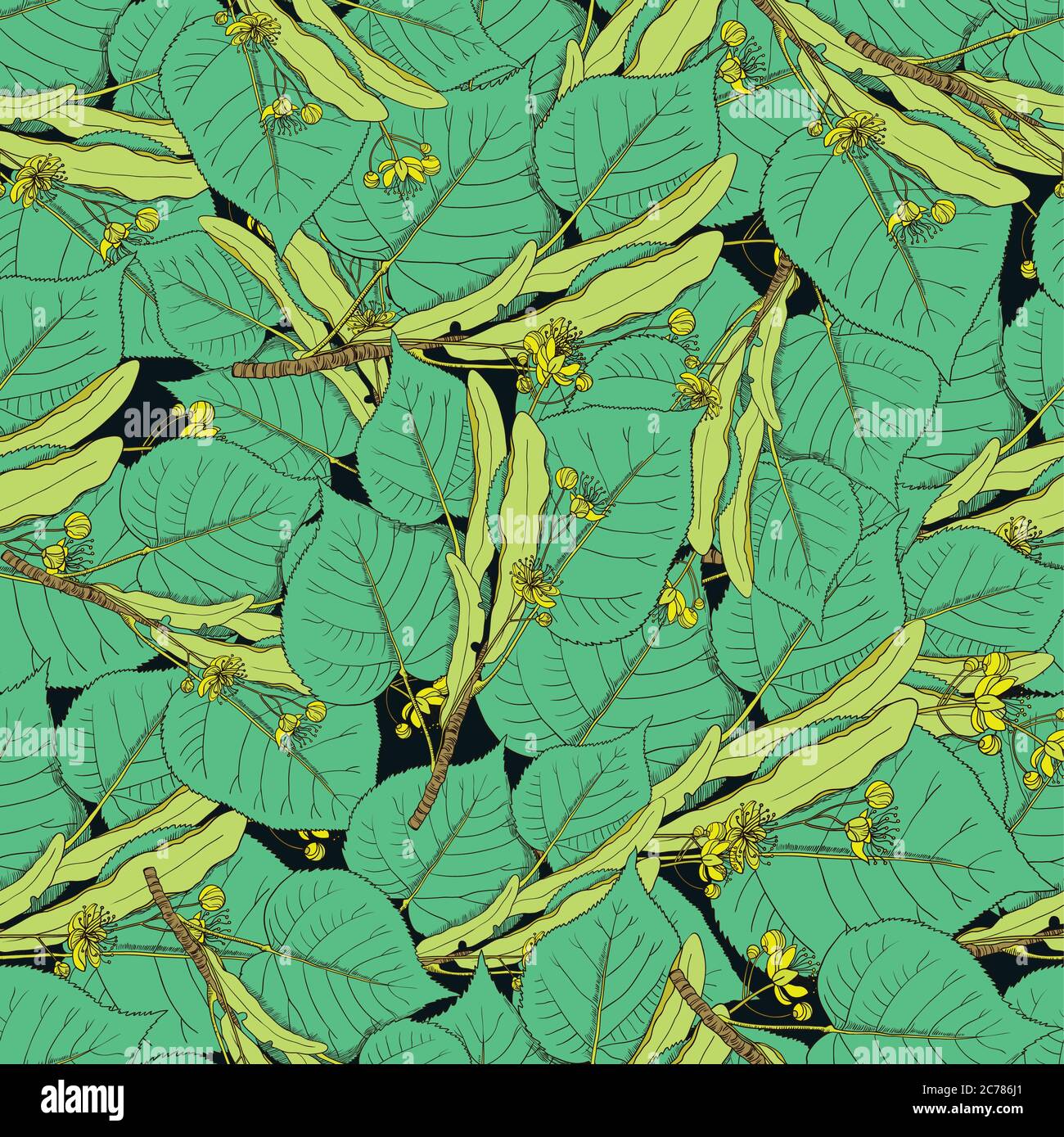Seamless pattern with linden flowers and leaves. Vector illustration Stock Vector