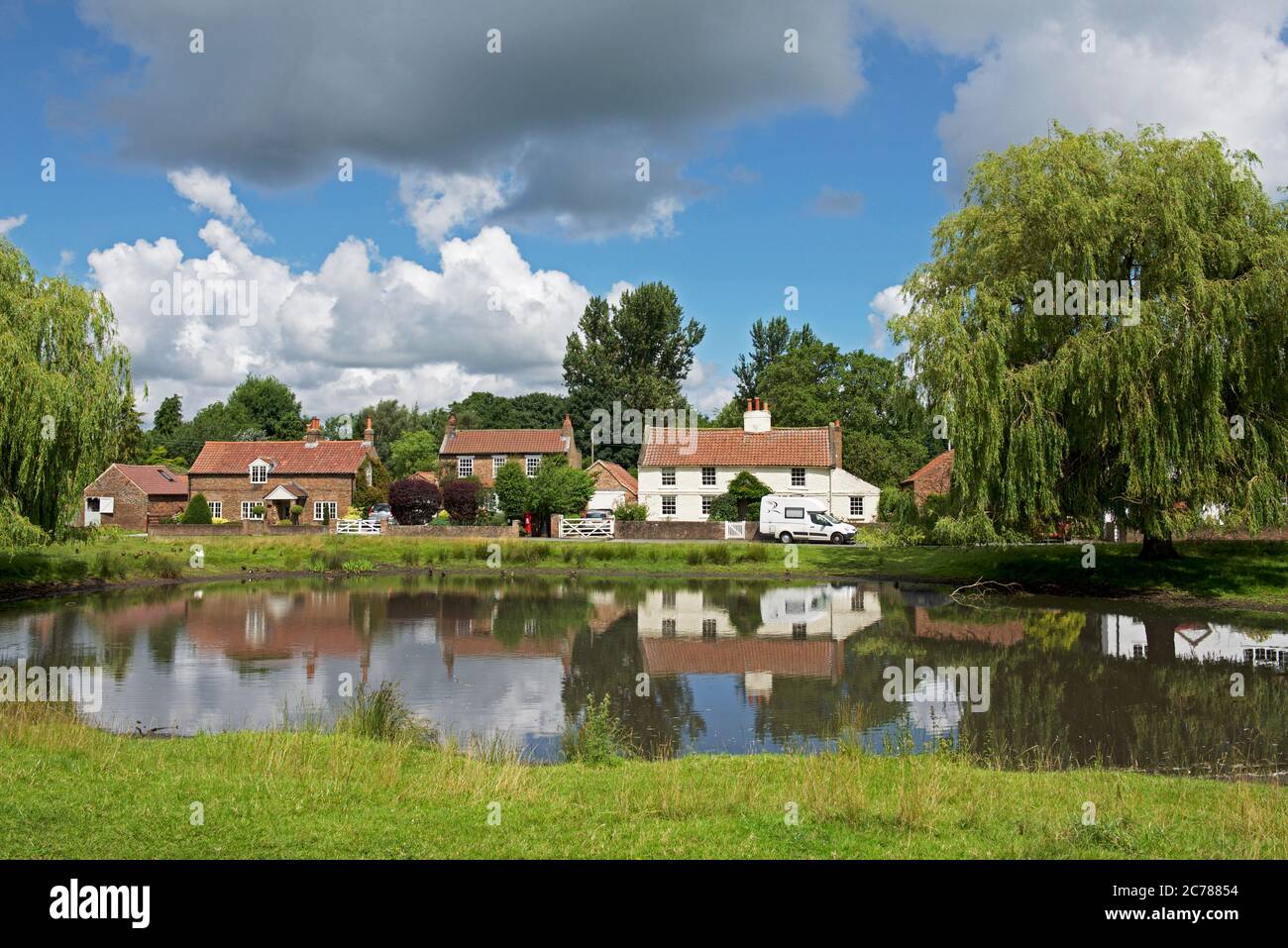 Houses and village pond in the village of Nun Monkton, North Yorkshire