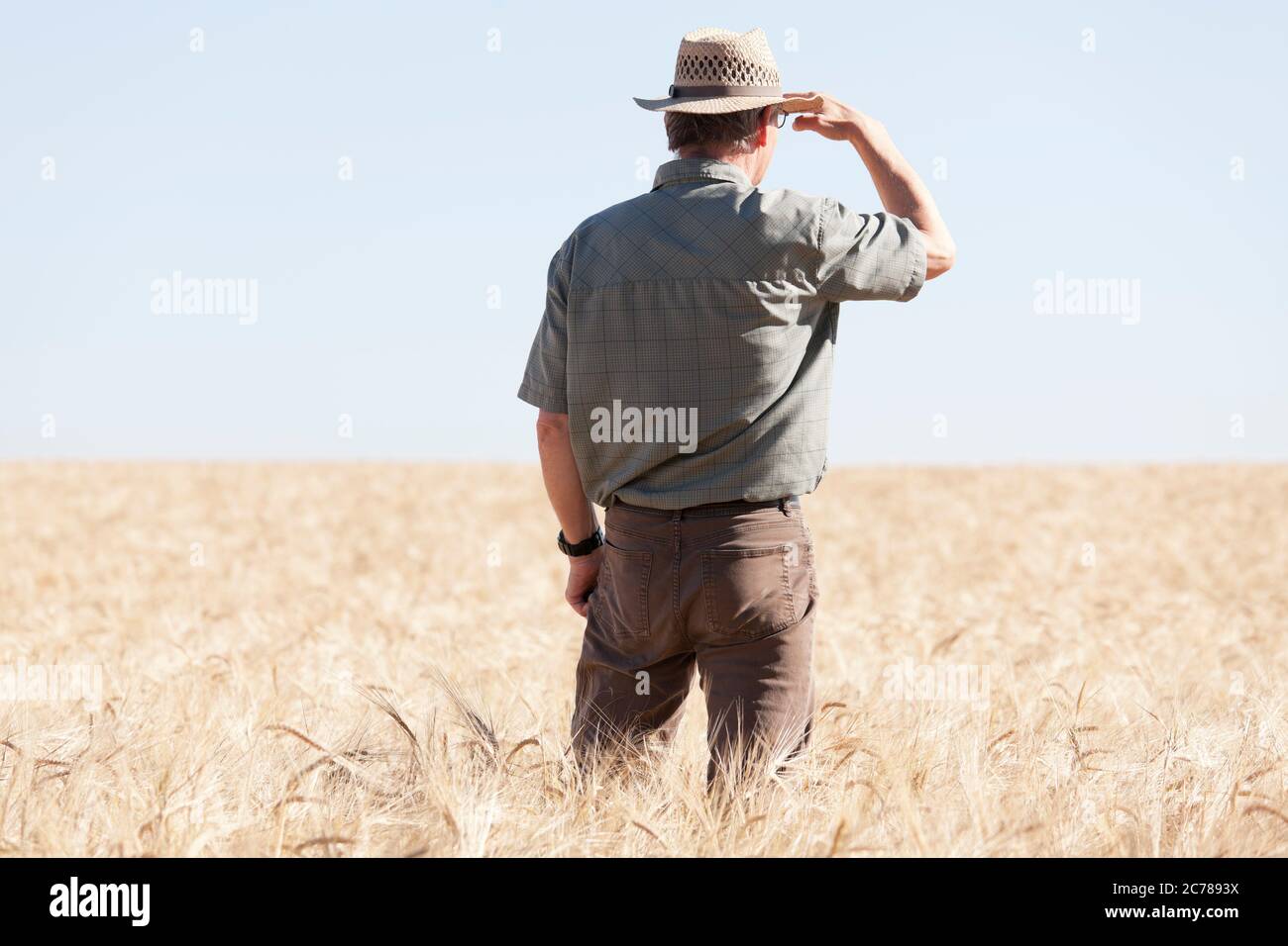 Farmer in a dry field of crop because the global warming looking for rain - selective focus on the farmer Stock Photo