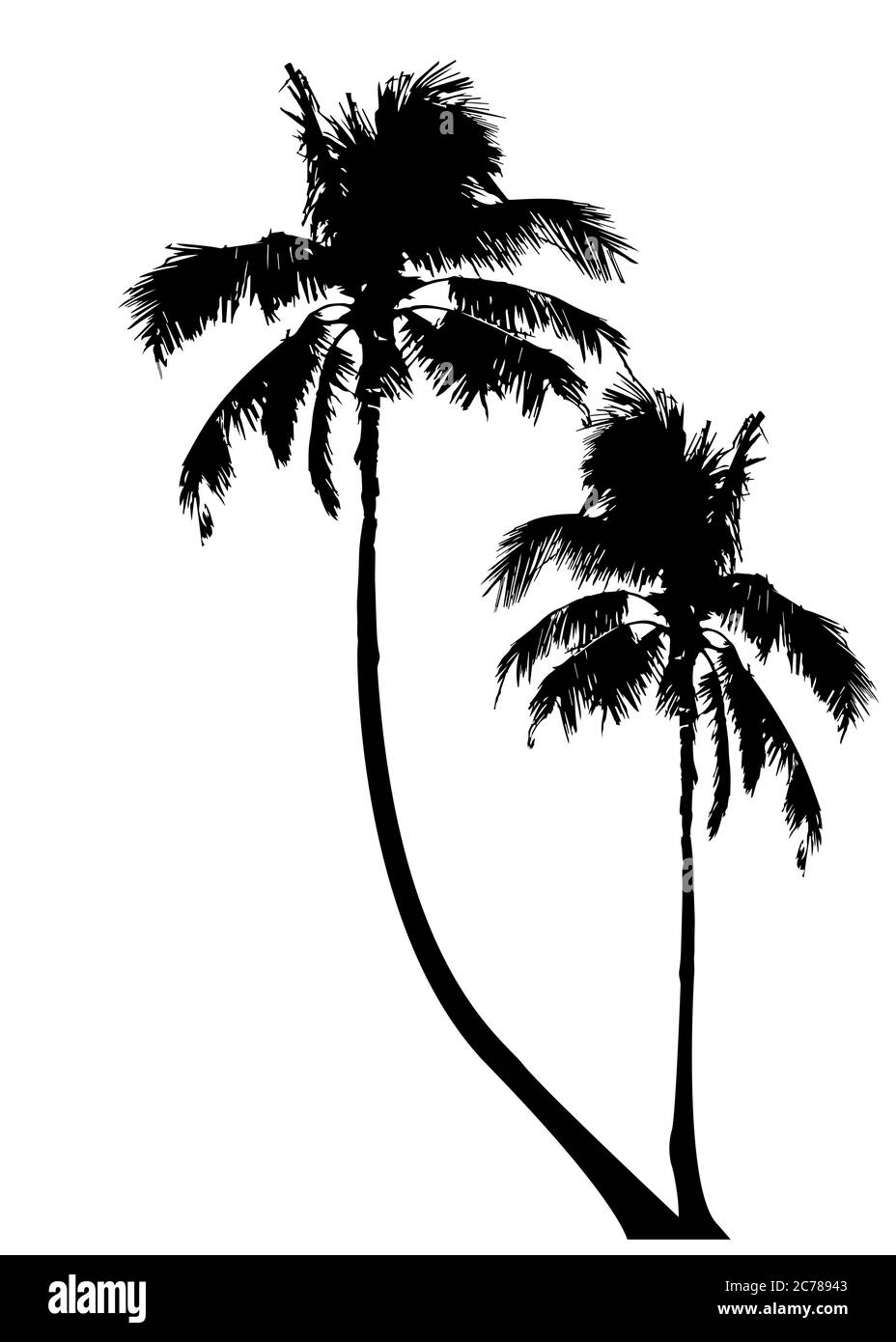 Tropical palm trees, black silhouette and outline contours, vector ...