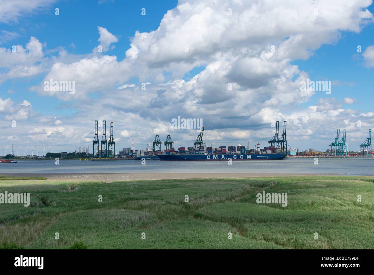 Doel Belgium 16 June 19 The Ship Cmacgm Georg Forster Is Anchored At The Port Of Antwerp Stock Photo Alamy