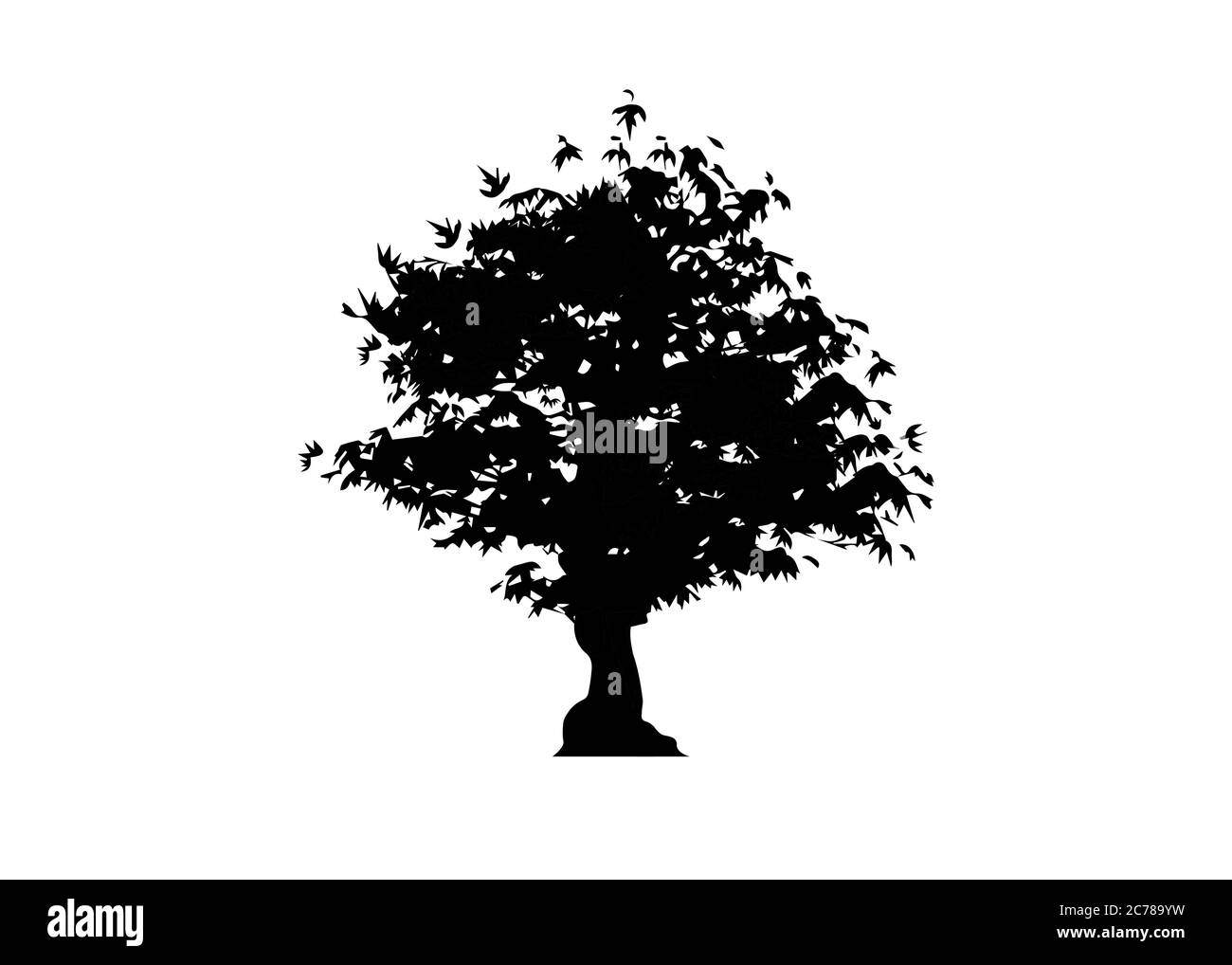 vector silhouette maple tree icon isolated on white background. Acer Palmatum, Deshojo, Japanese maple plant bonsai tree. Scarlet Princess Dwarf Japan Stock Vector