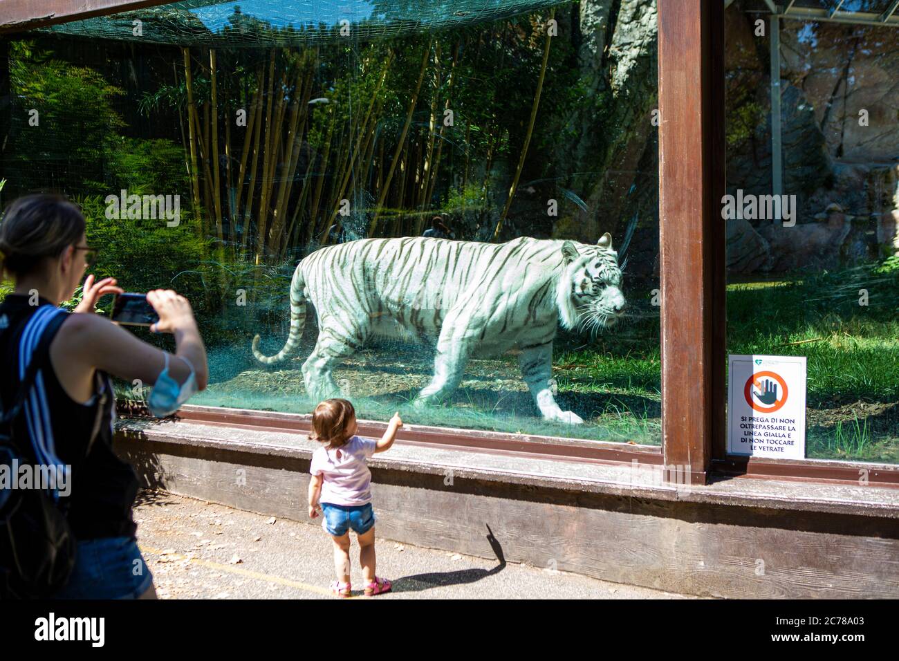 Young mother photographs a small child at the tiger enclosure at a zoo Stock Photo