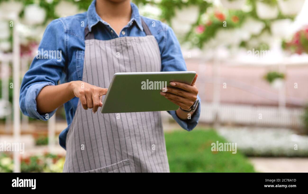 Farm worker and climate control in greenhouse. African american girl works on digital tablet Stock Photo