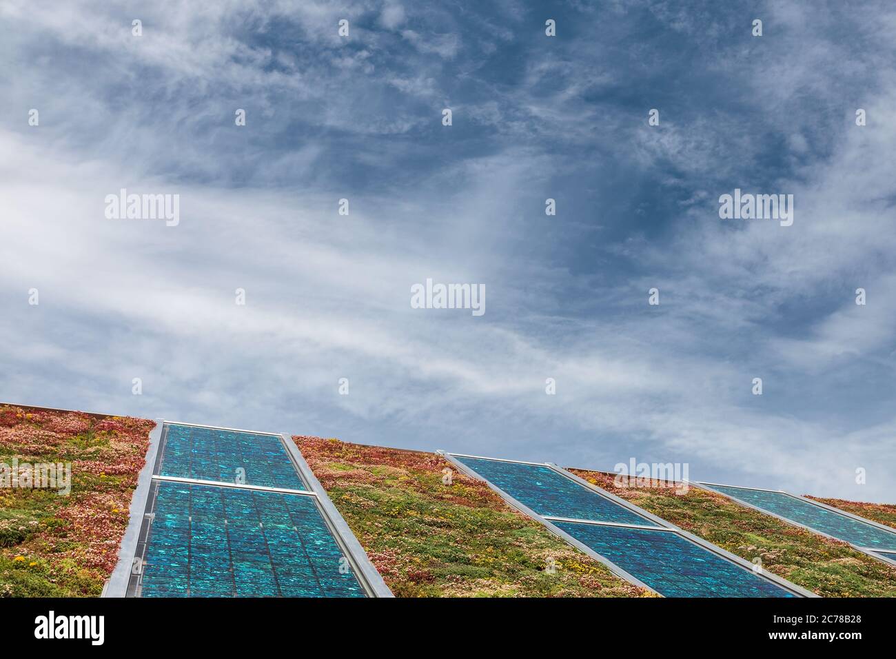 Solar panels on a new roof covered with green and red sedum for