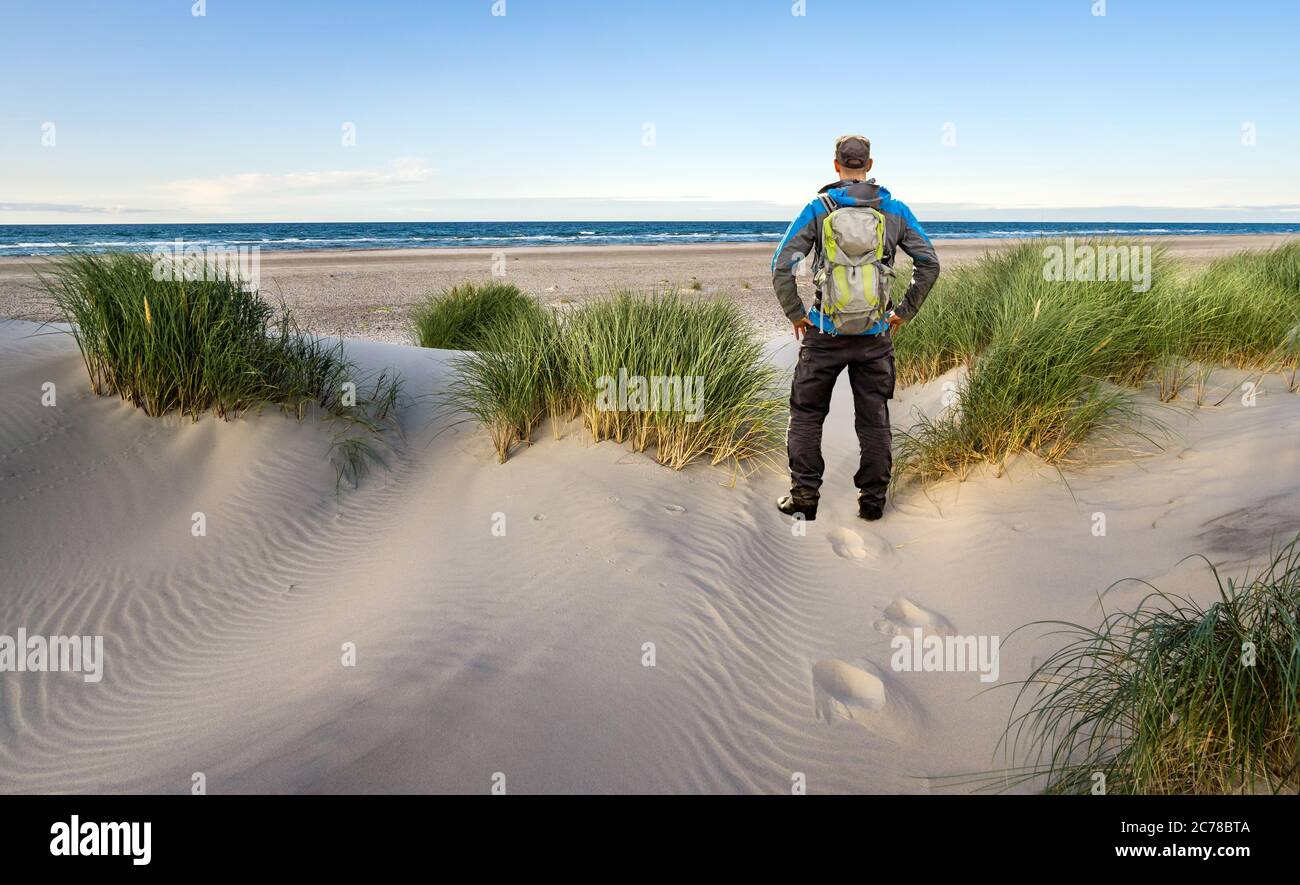 Man with Backpack hiking in beautiful windy coastal dune marram grass towards beach of North Sea in soft evening sunset sunlight. Skagen Nordstrand Stock Photo