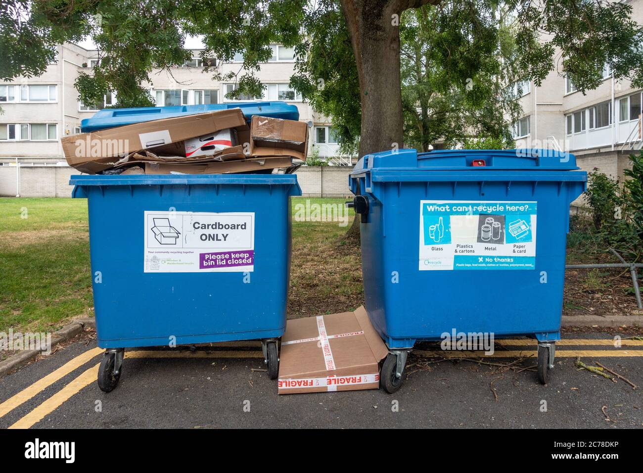 Large blue bins for recyclable waste. One is for cardboard only and the other is for general recycling. Stock Photo