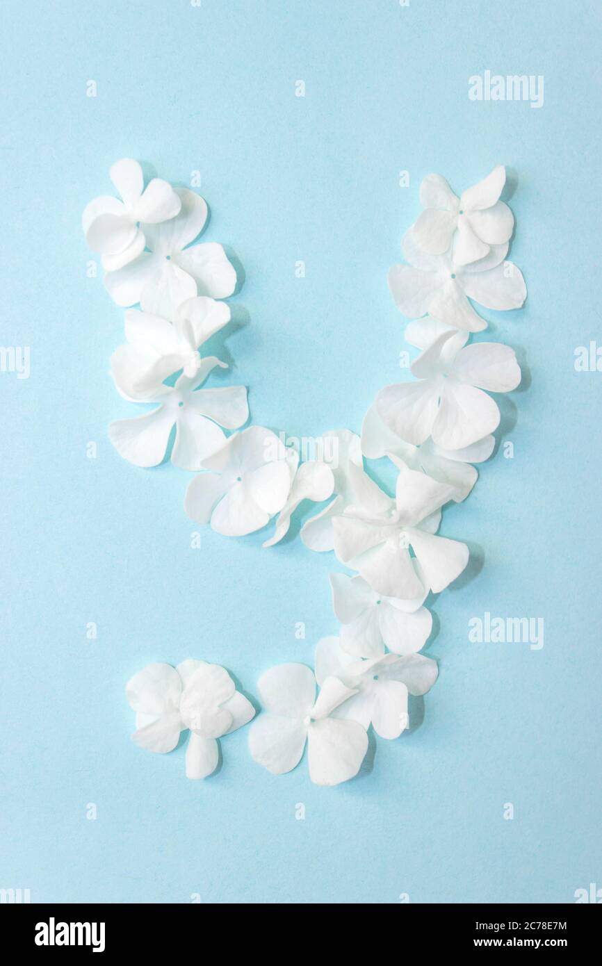 Flower Alphabet - Y. Letter made from live flowers on light blue background Stock Photo - Alamy Flower Alphabet - Y. Letter made from live flowers on light blue background Stock Photo - Alamy
